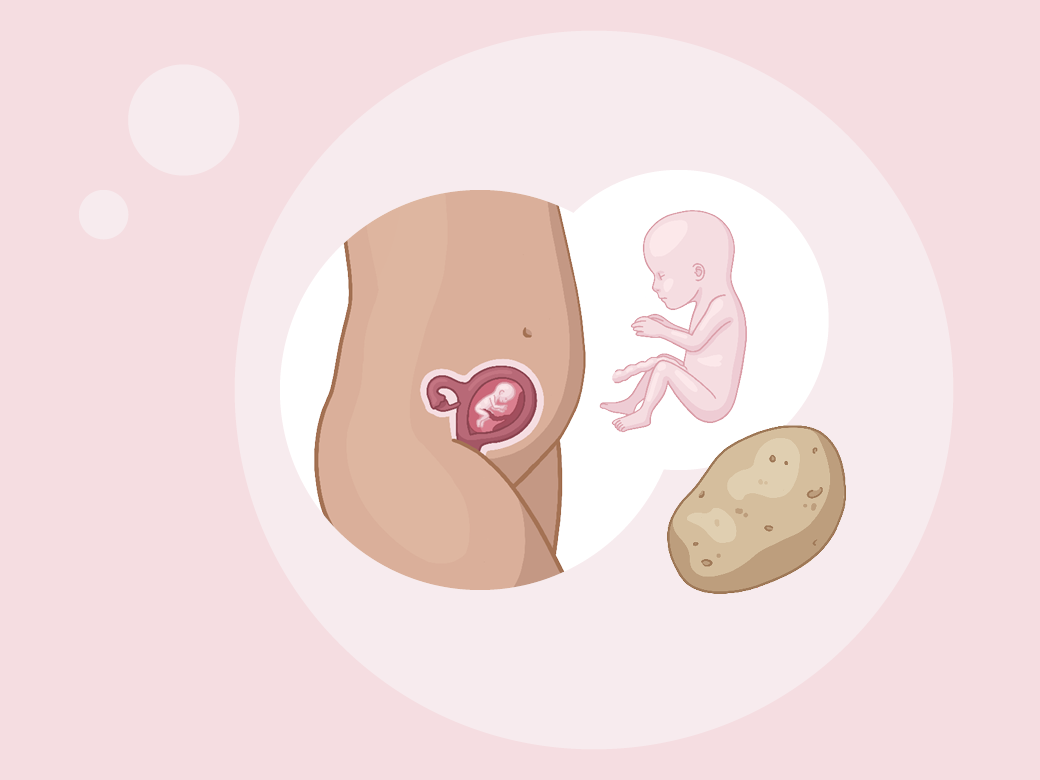Illustration eine eines kindes im mutterleib.