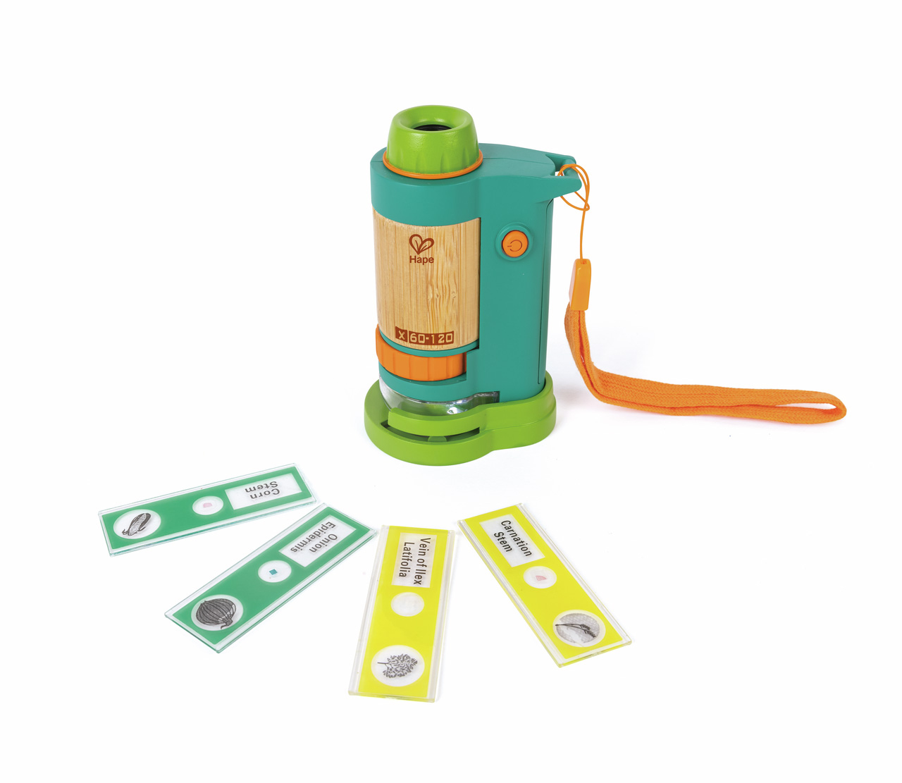 Lernspielzeug, Hape, Grün – Produktansicht
