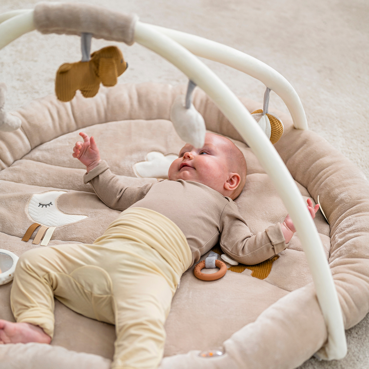 3-in-1 Schildkröte Spieldecke Für Babys – Mit Spielbögen, Bällebad, Krabbeldecke, 61x50 Cm