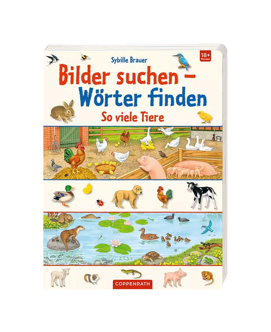 Kinderbücher, COPPENRATH – Produktansicht