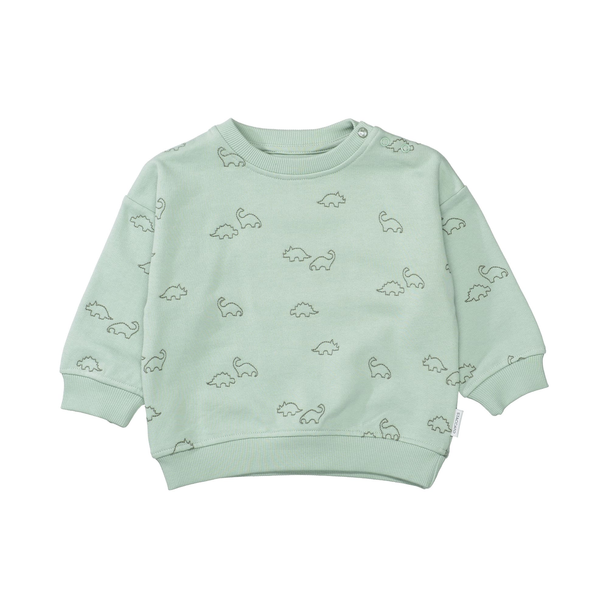 Pullover & Sweatshirts, STACCATO, Grün – Besonderheit: aus 100% Baumwolle
