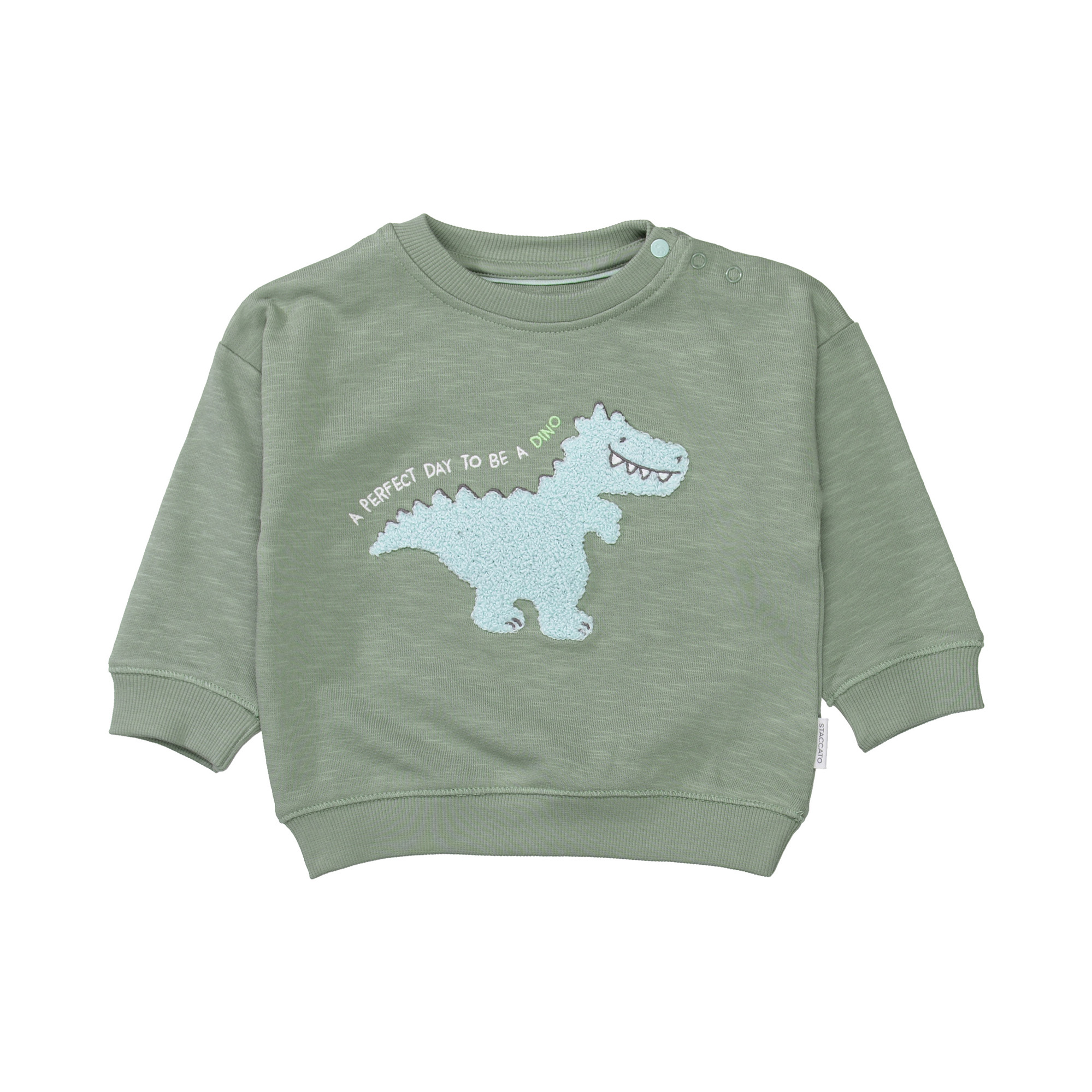 Pullover & Sweatshirts, STACCATO, Grün – Besonderheit: aus 100% Baumwolle
