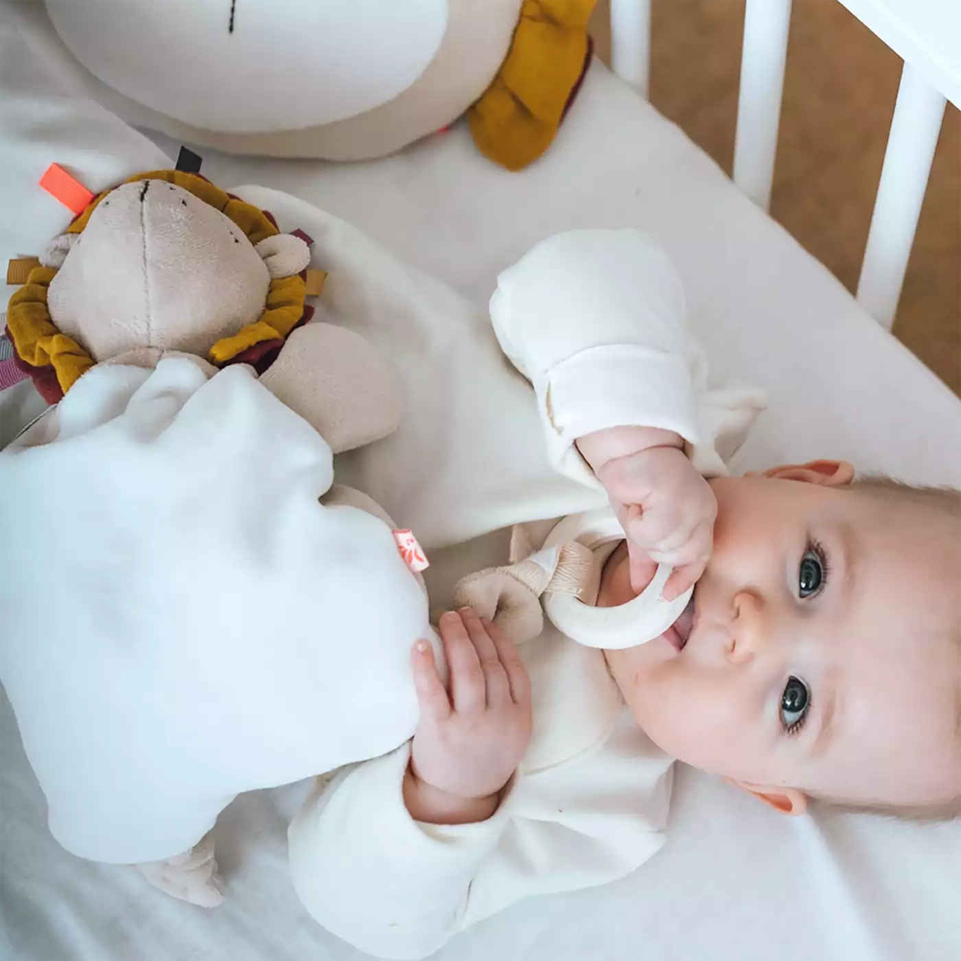 Produkte, kikadu, Beige – Produktansicht