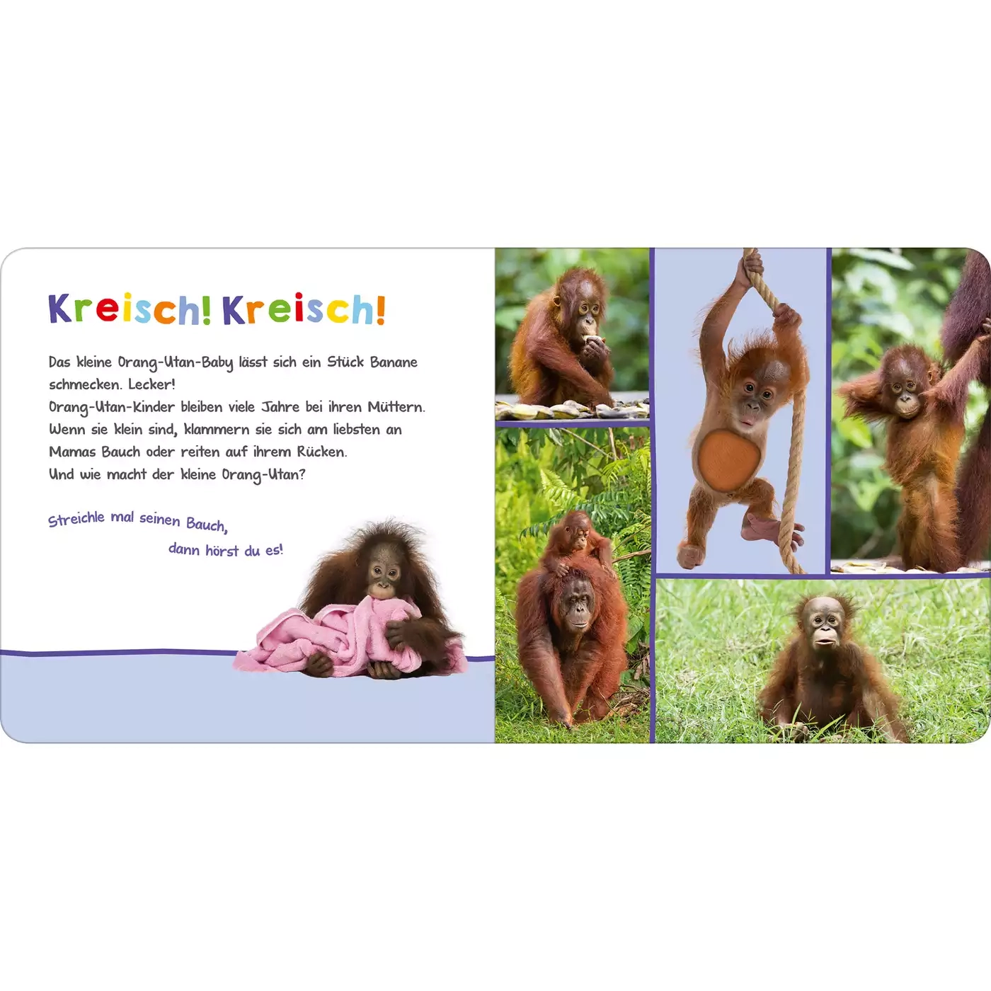 Kinderbücher, arsEdition, Mehrfarbig – Produktansicht