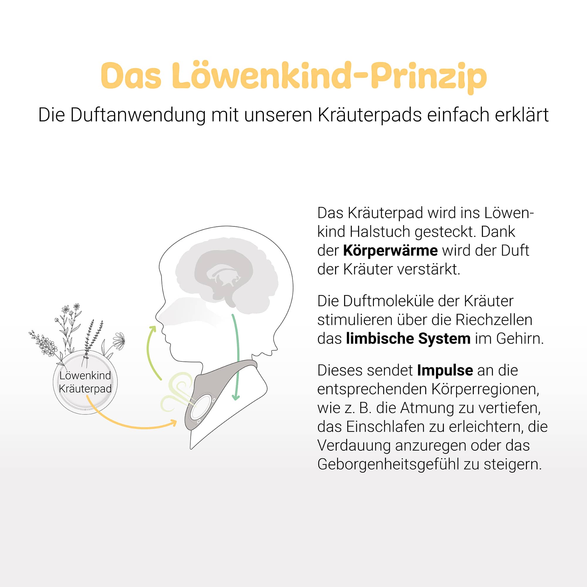 Hausapotheke, Löwenkind, Mehrfarbig – Produktansicht