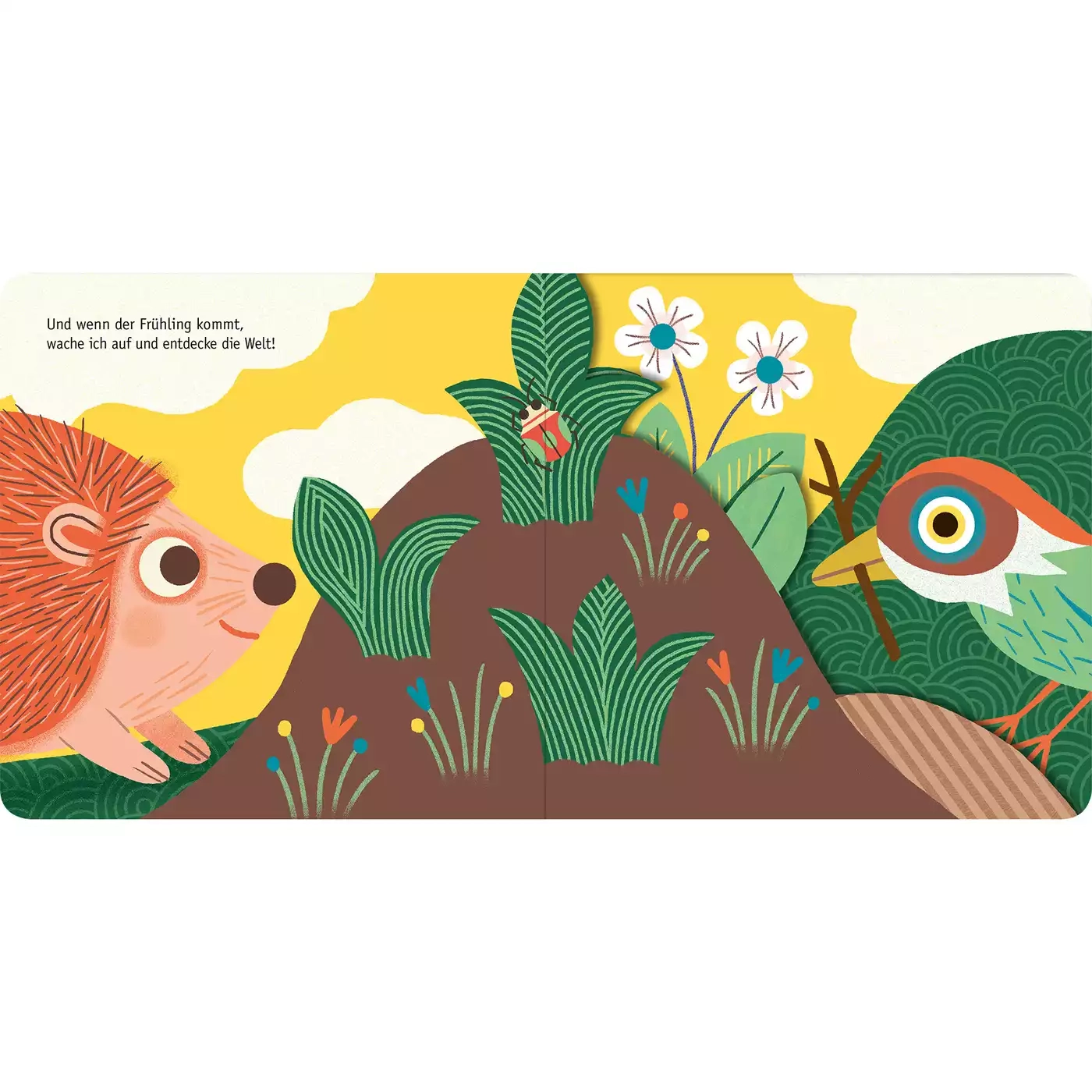 Kinderbücher, arsEdition, Blau – Produktansicht