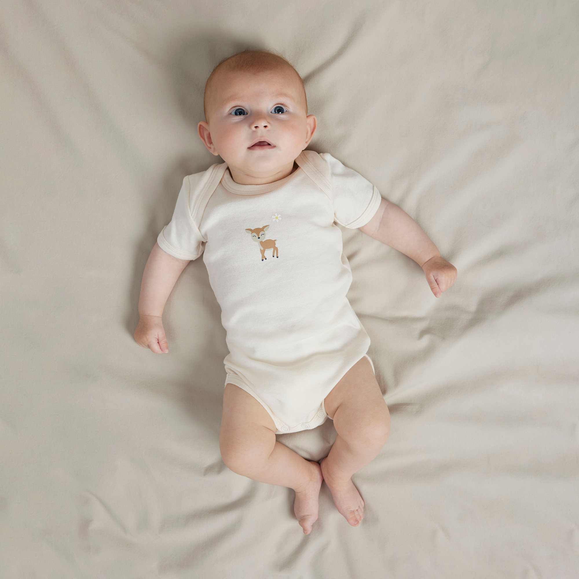 Kurzarmbodys, name it, Lila – Produktansicht