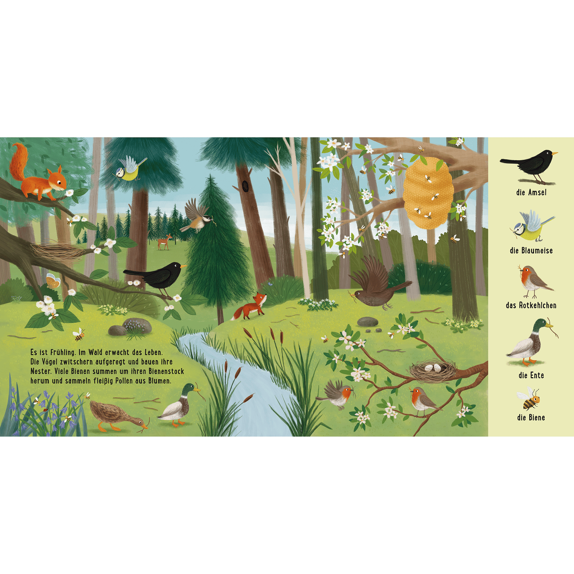 Mein erstes Natur-Wimmelbuch: Tiere im Wald THIENEMANN 2000584907908 2