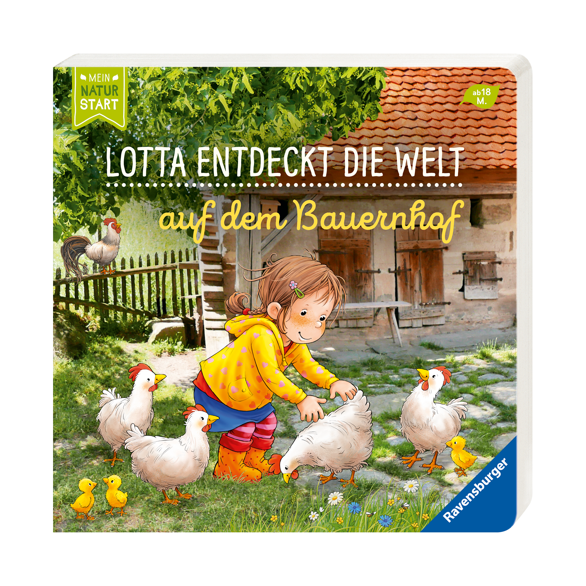 Bilderbücher, Ravensburger, Mehrfarbig – Produktansicht