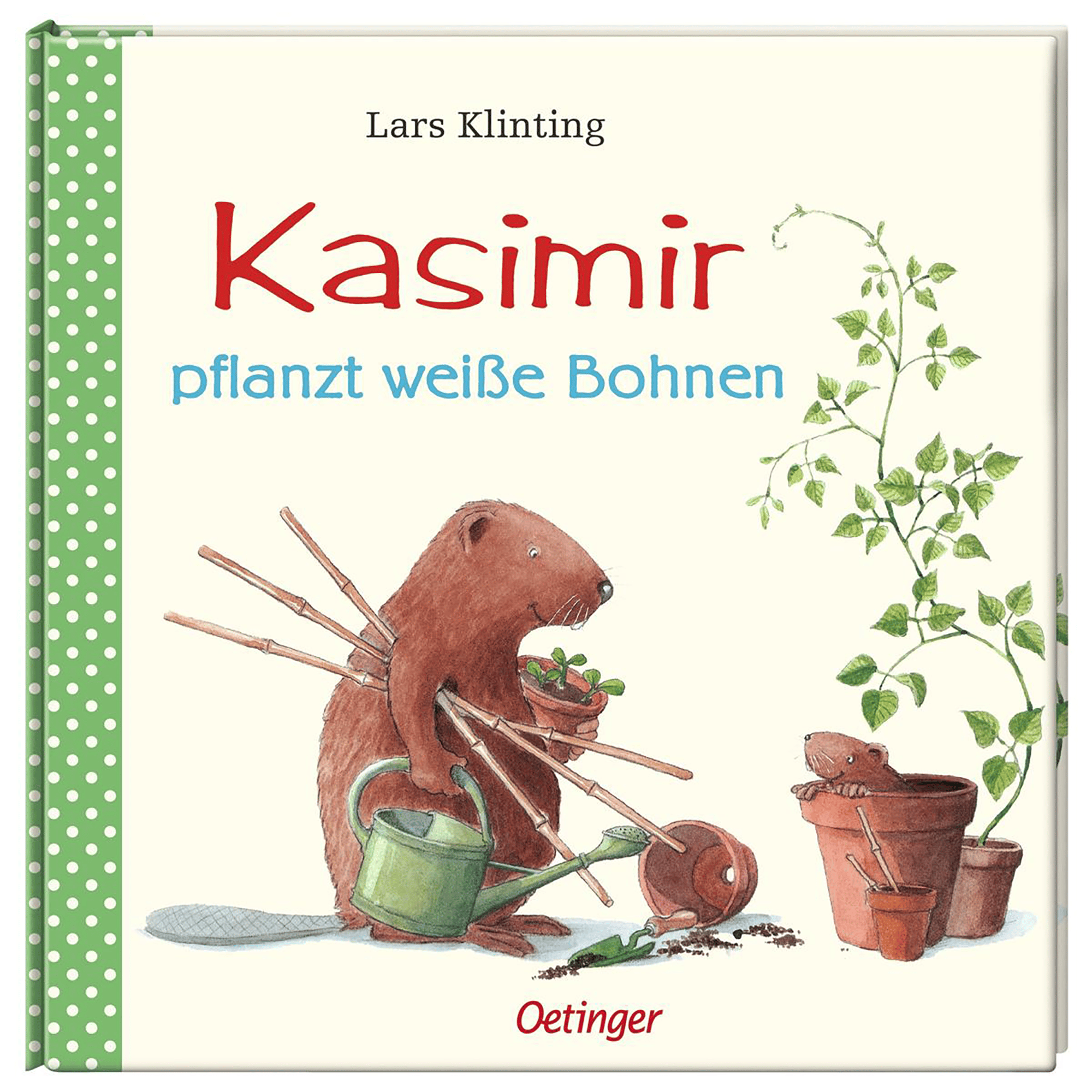 Kasimir pflanzt weiße Bohnen OETINGER 2000583390008 1
