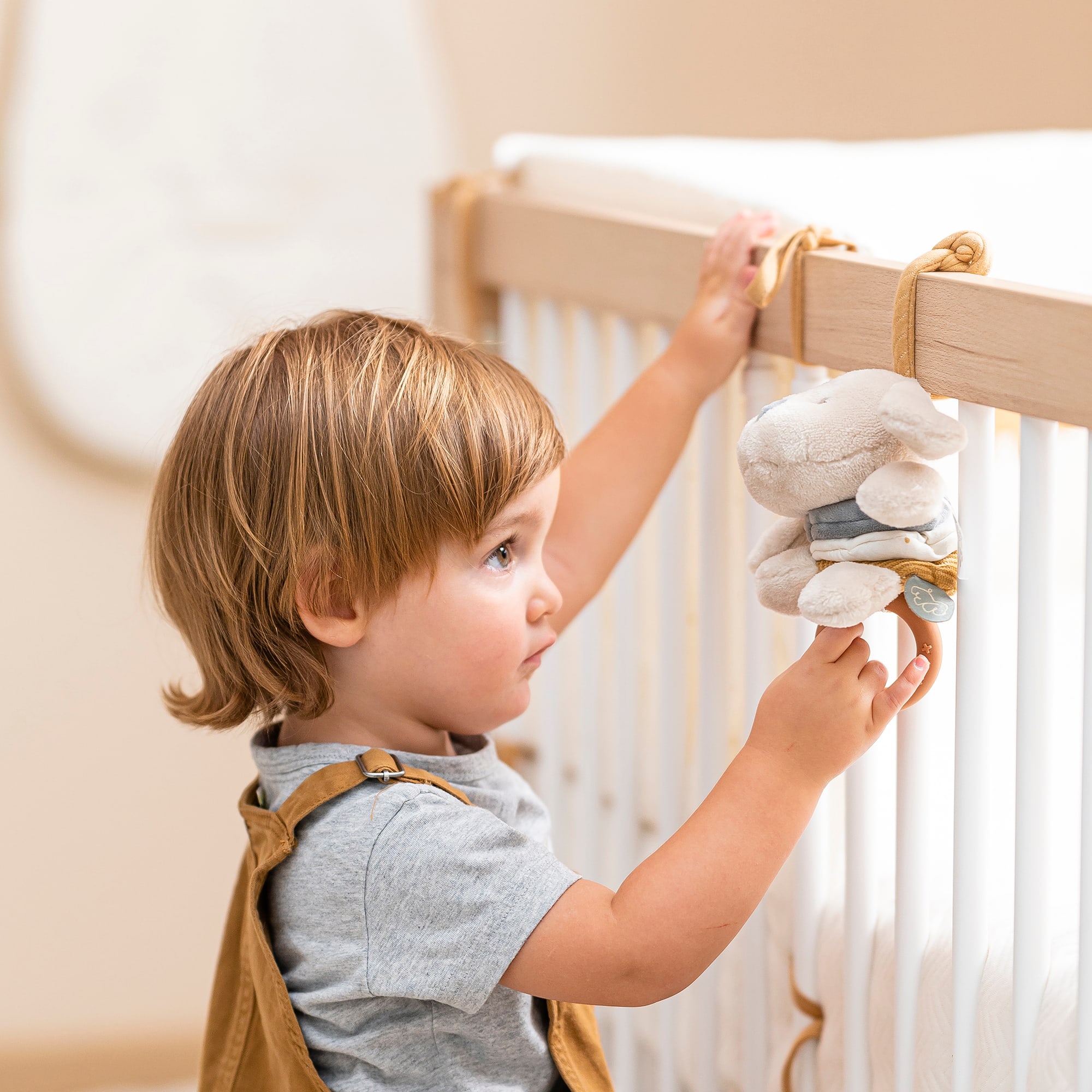 Kuscheltiere Hunde, Nattou, Beige – Produktansicht