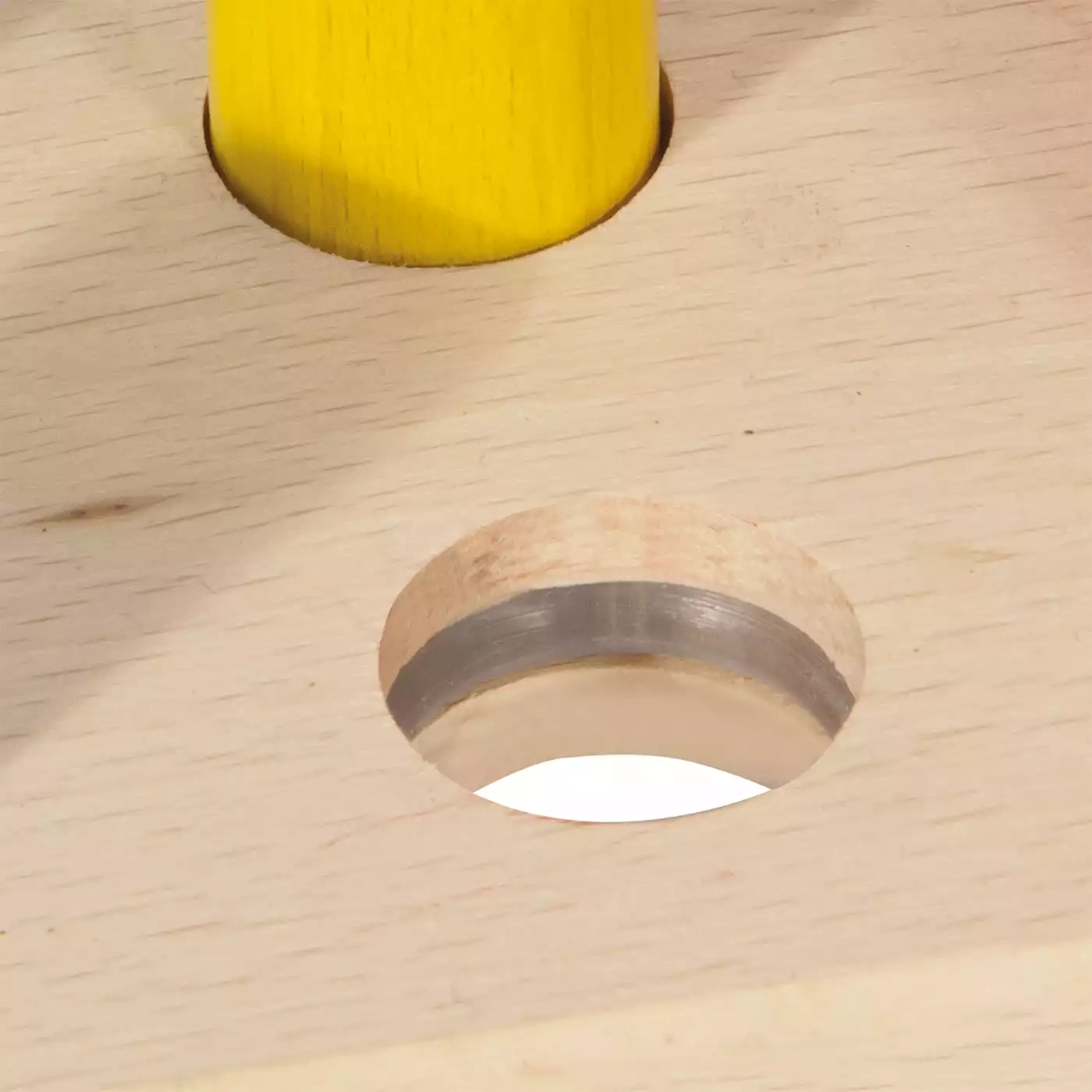 Produkte, Eichhorn, Braun – Produktansicht