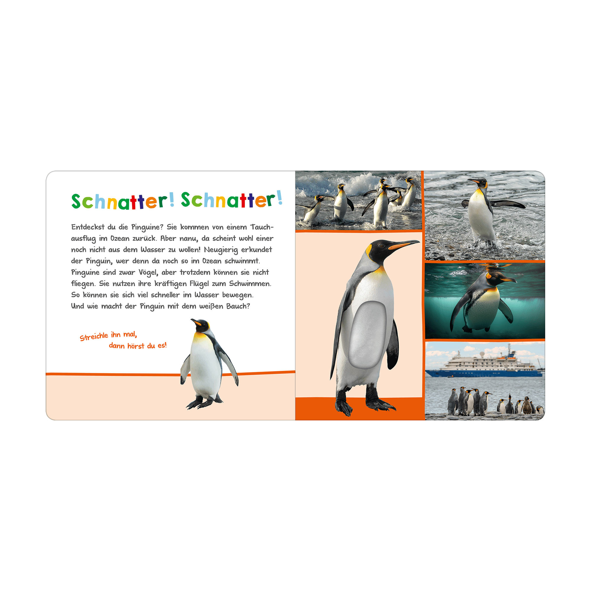 Produkte, arsEdition – Produktansicht