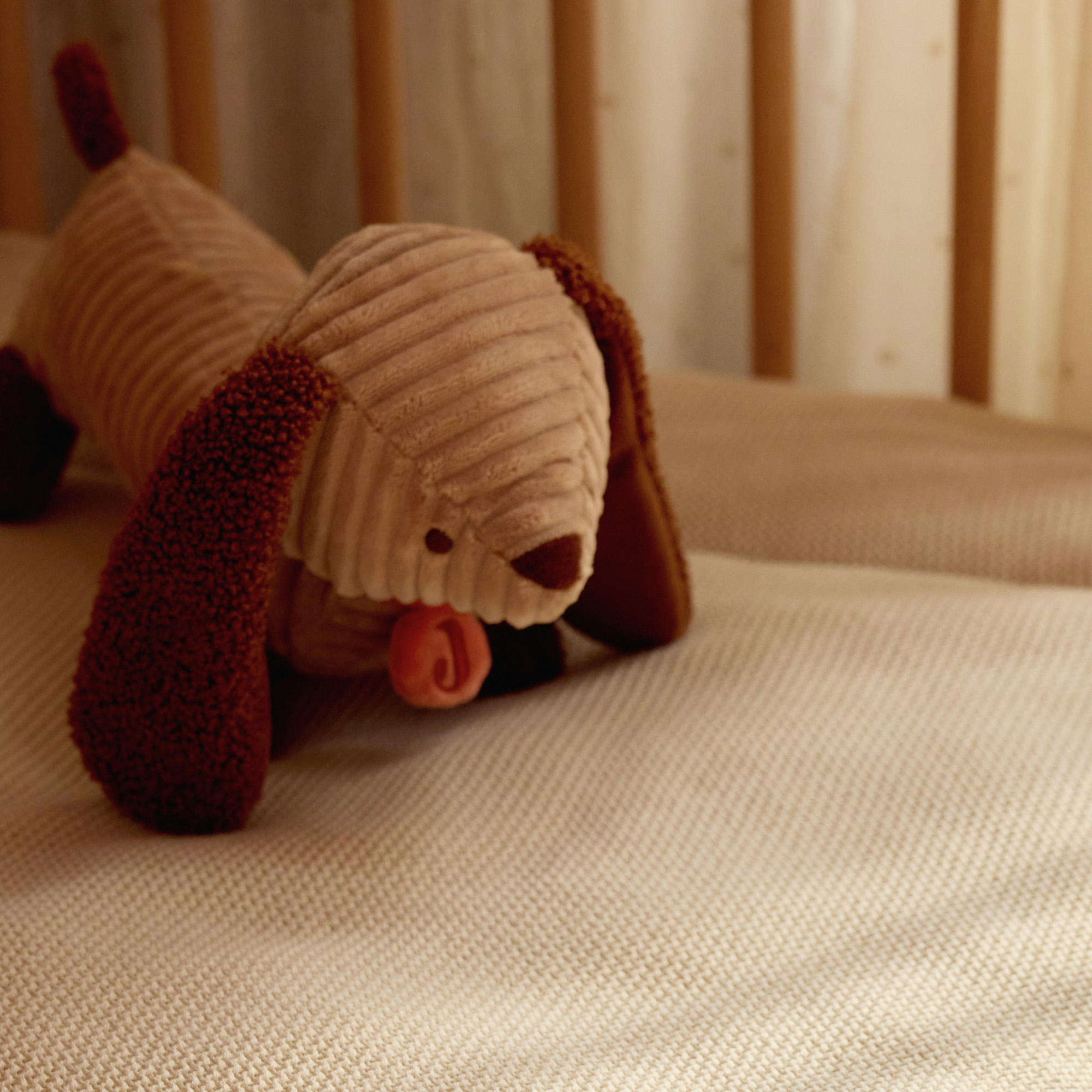Kuscheltiere, jollein, Braun – Besonderheit: aus weichem Rippstoff in Biscuit mit Bouclé-Ohren