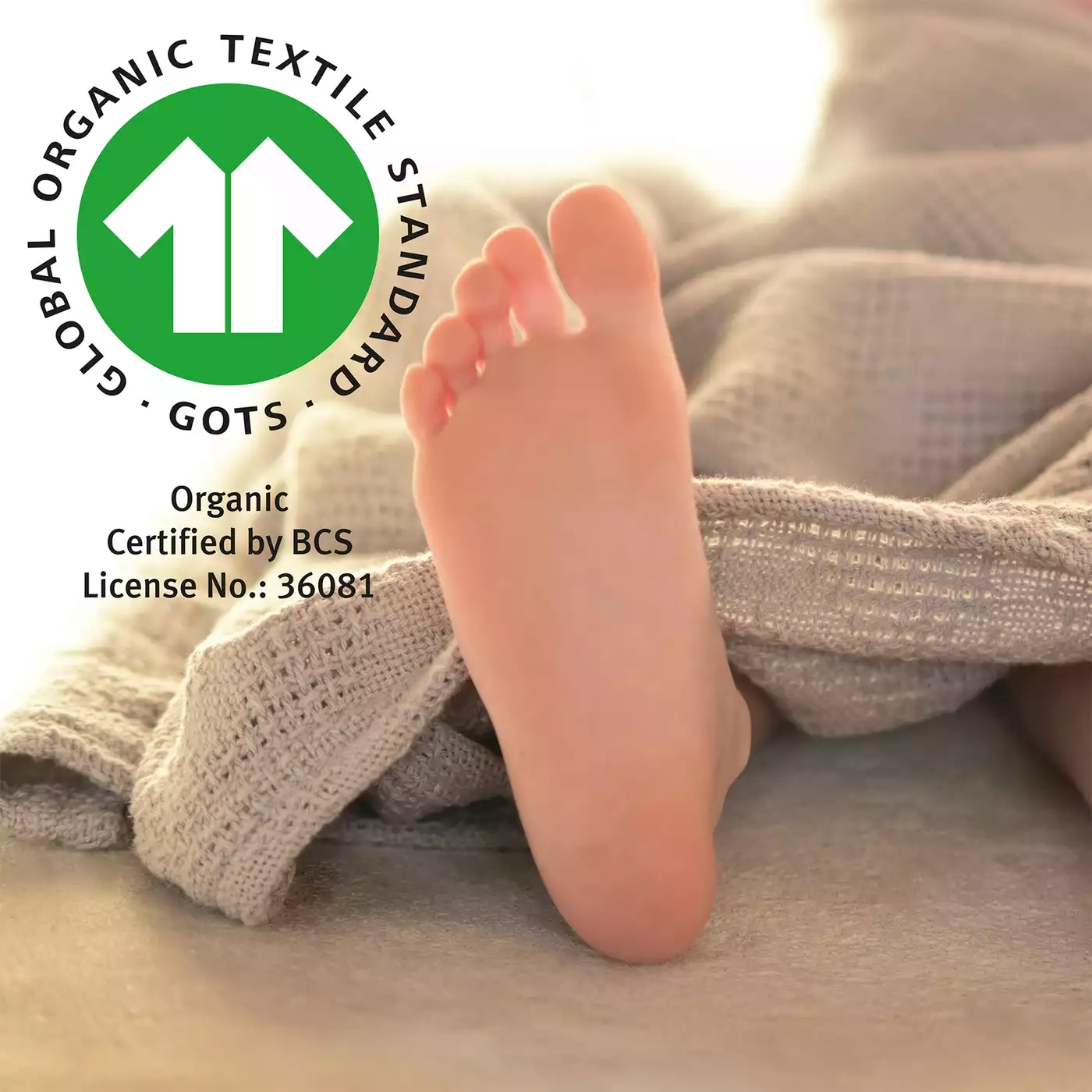 Kuscheldecken, roba, Grau – Produktansicht