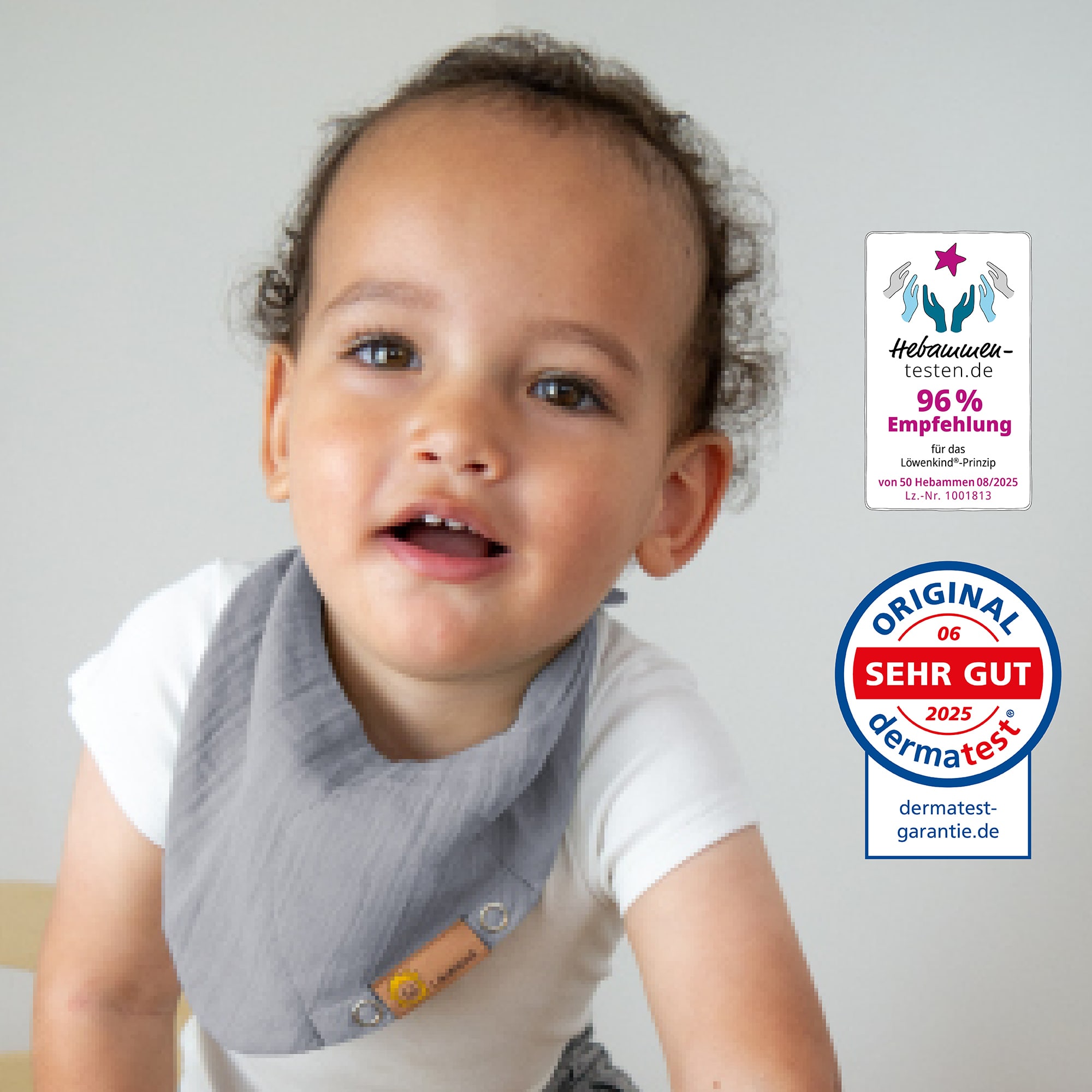 Produkte, Löwenkind, Grau – Produktansicht