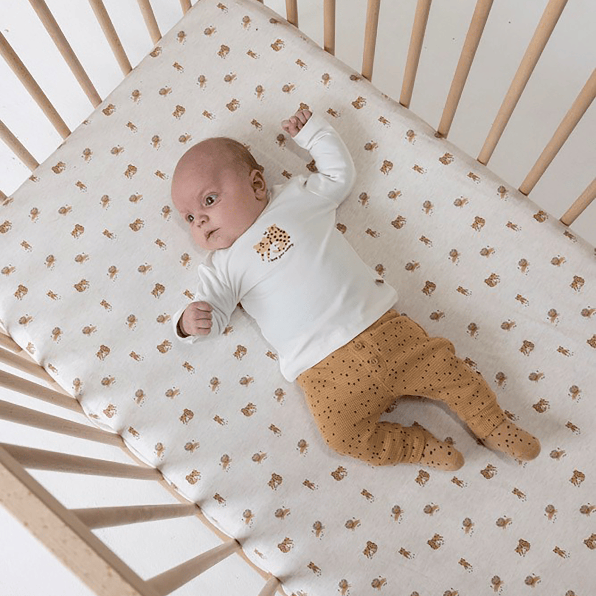 FEETJE Hose Tiny Roar Größe 62 | BabyOne