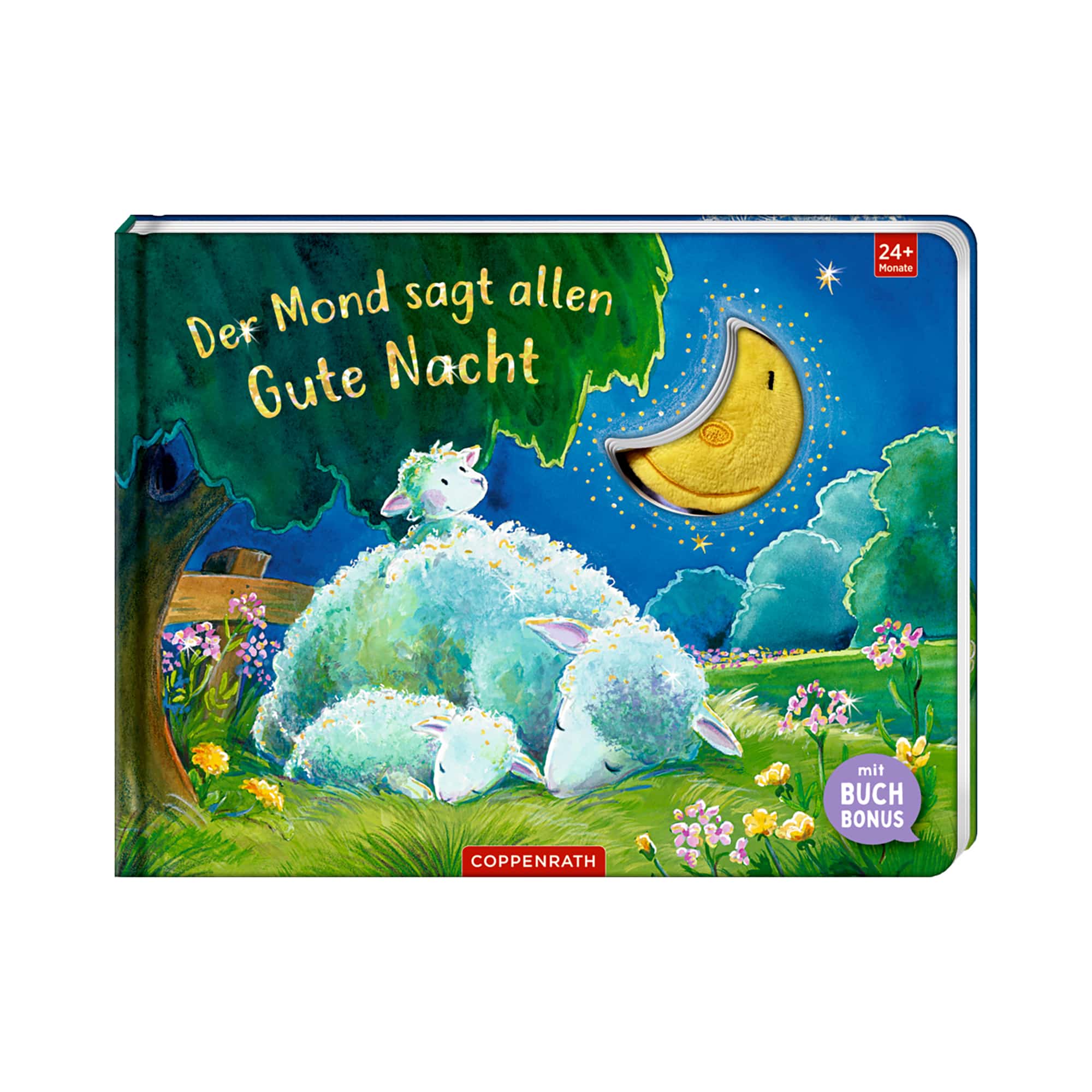 Bilderbücher, COPPENRATH, Blau – Produktansicht