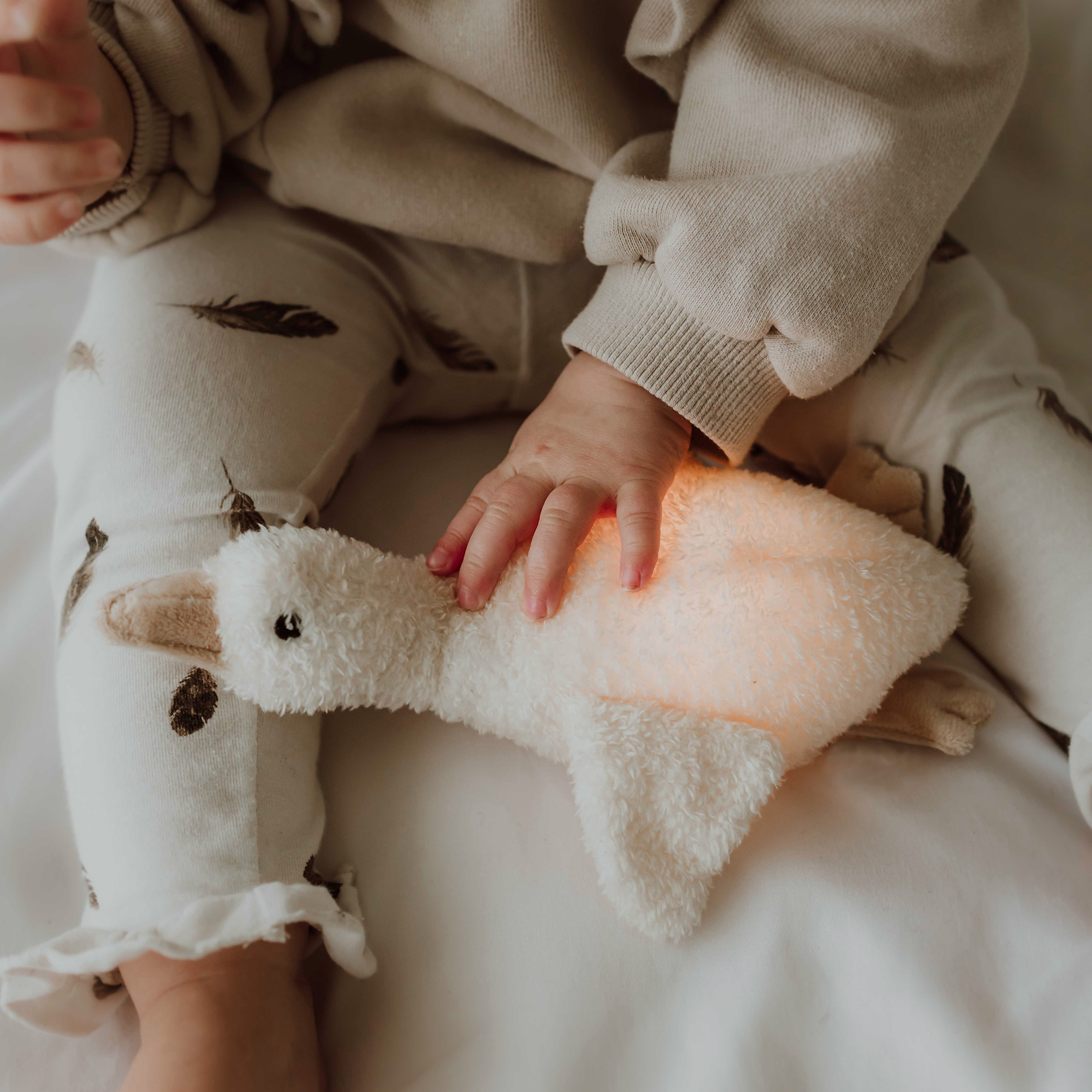 Nachtlichter, Flow Amsterdam, Beige – Besonderheit: niedliches Nachtlicht und Kuscheltier 