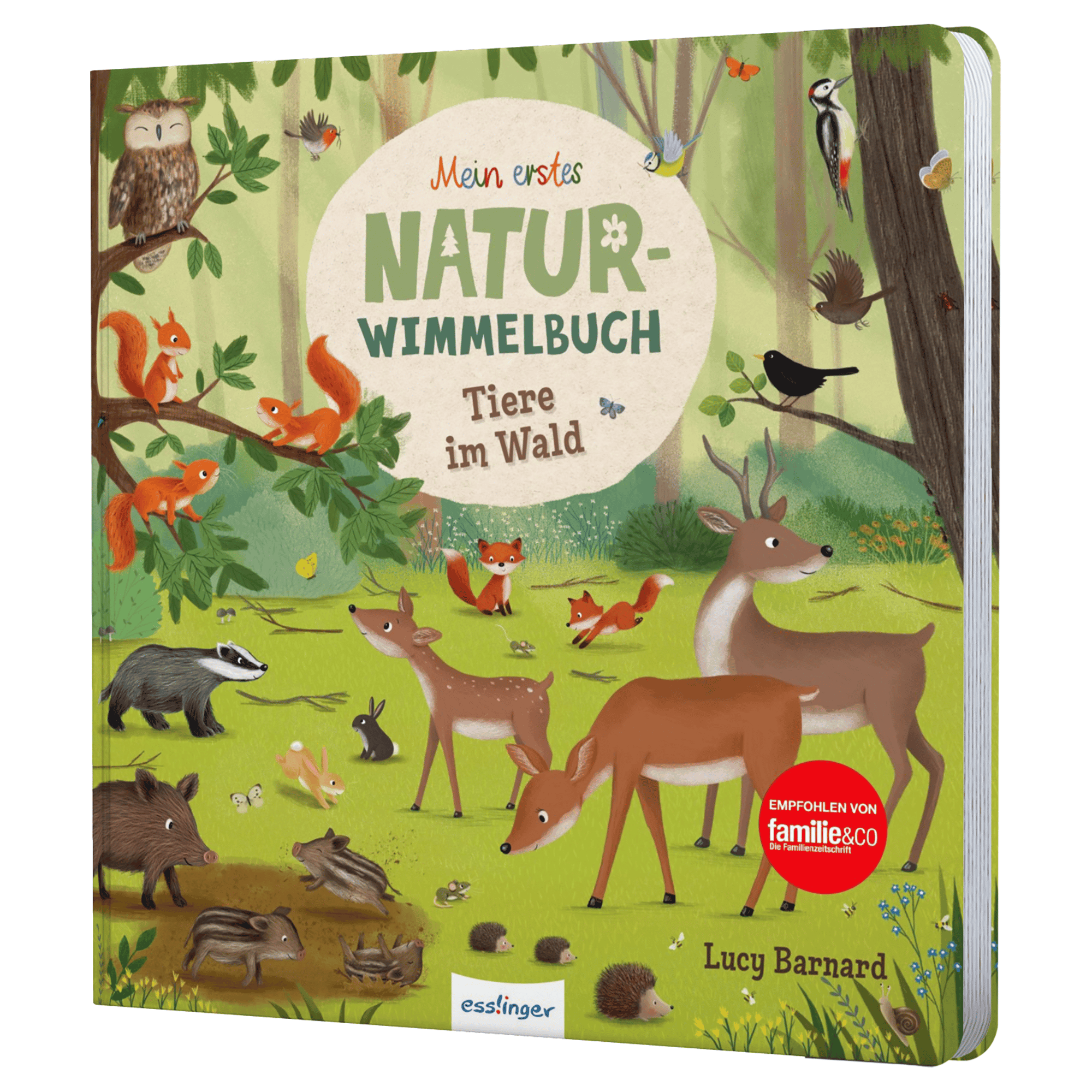 Mein erstes Natur-Wimmelbuch: Tiere im Wald THIENEMANN 2000584907908 1