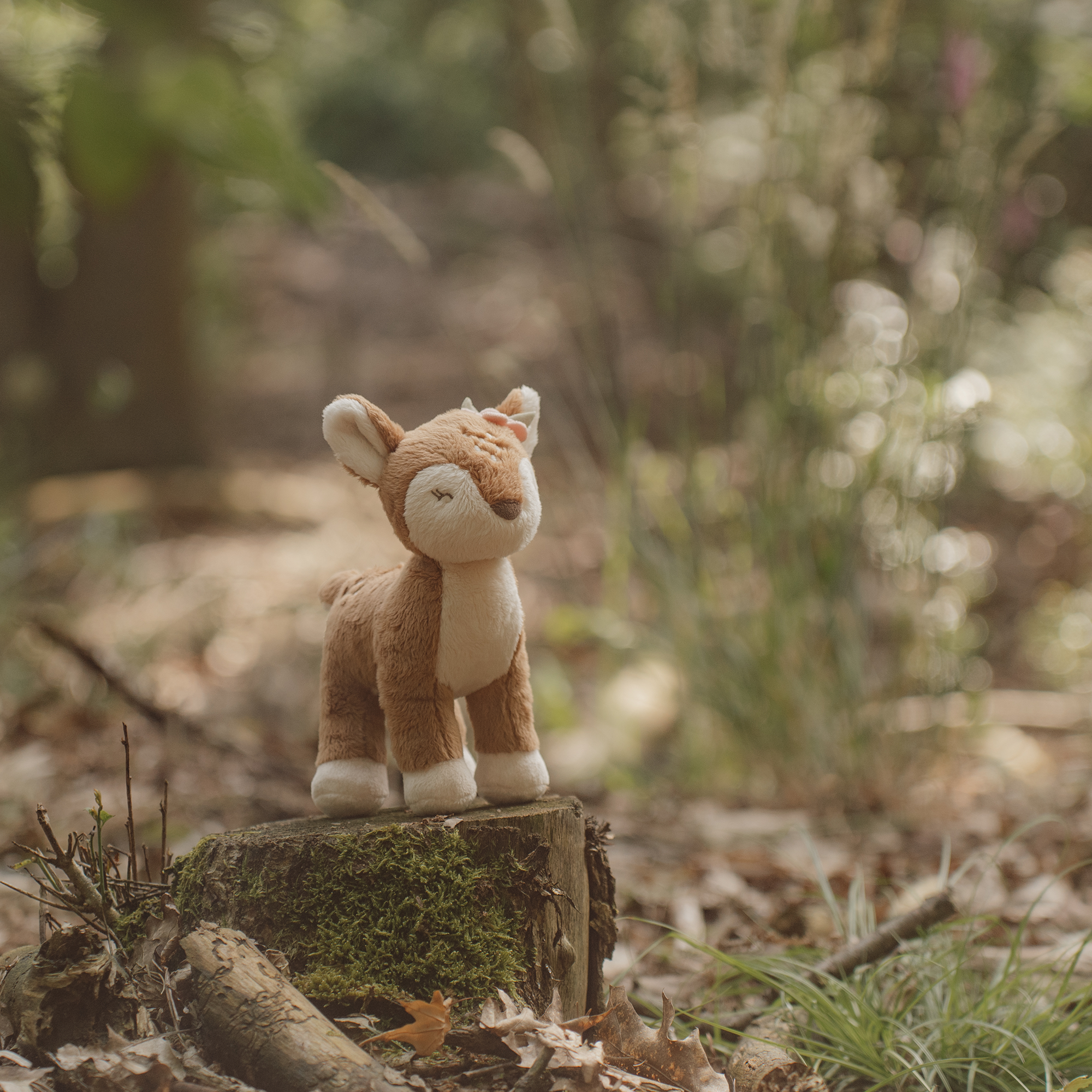 Kuscheltiere, LITTLE DUTCH, Braun – Besonderheit: niedlicher Begleiter mit flauschigem Fell