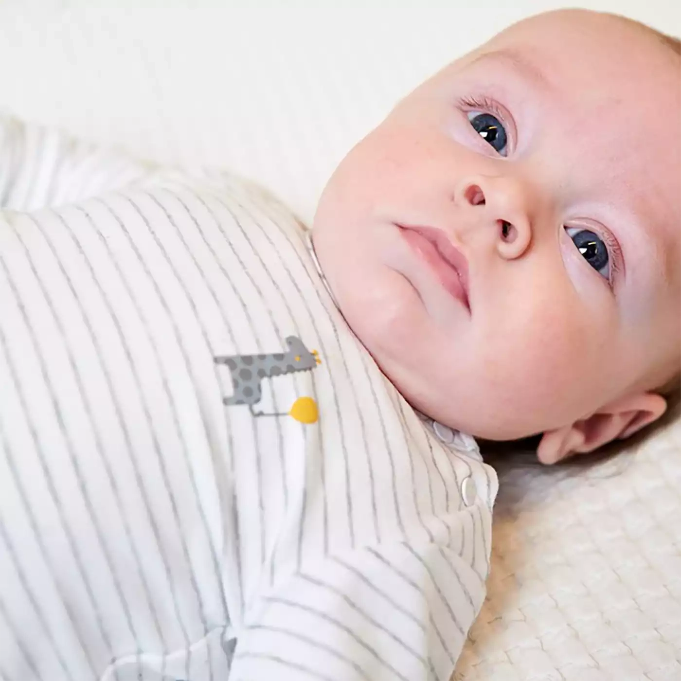 Langarmshirts, FEETJE, Grau – Produktansicht