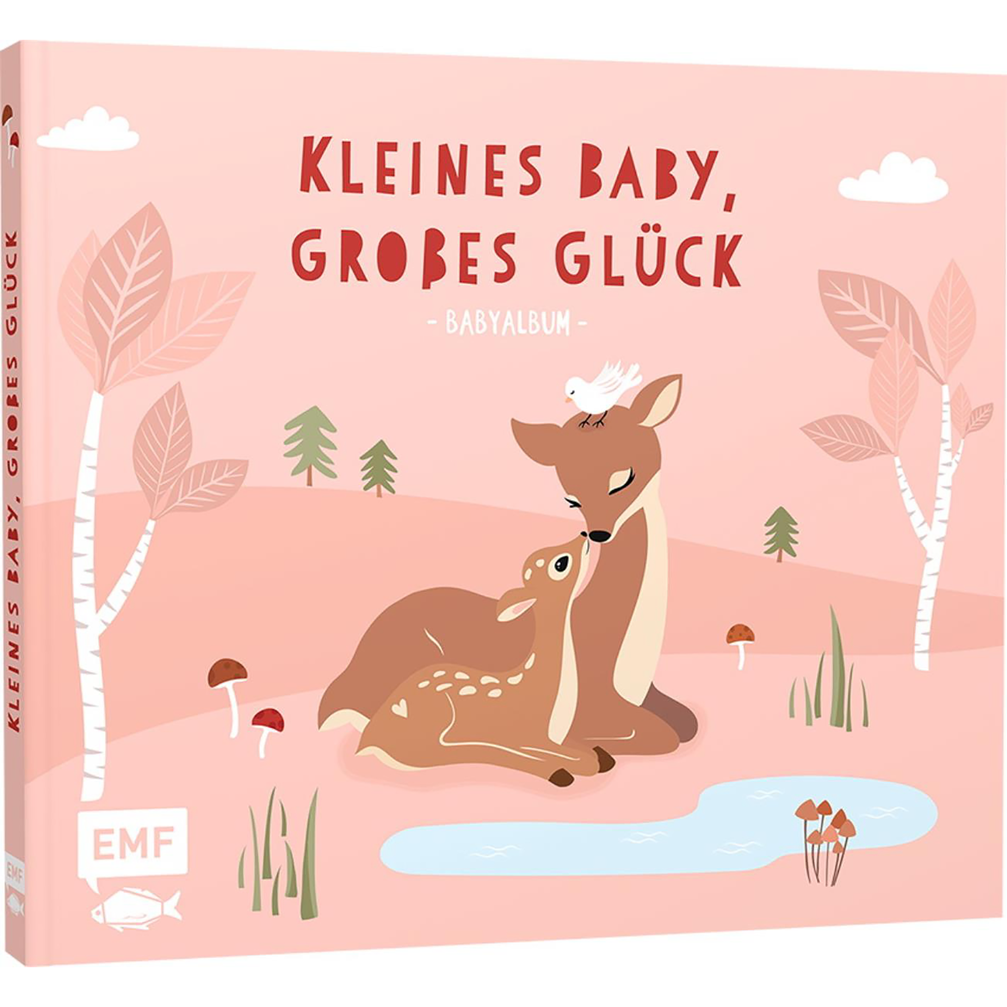 Kinderbücher, EMF, Pink – Besonderheit: liebevolles Babyalbum 