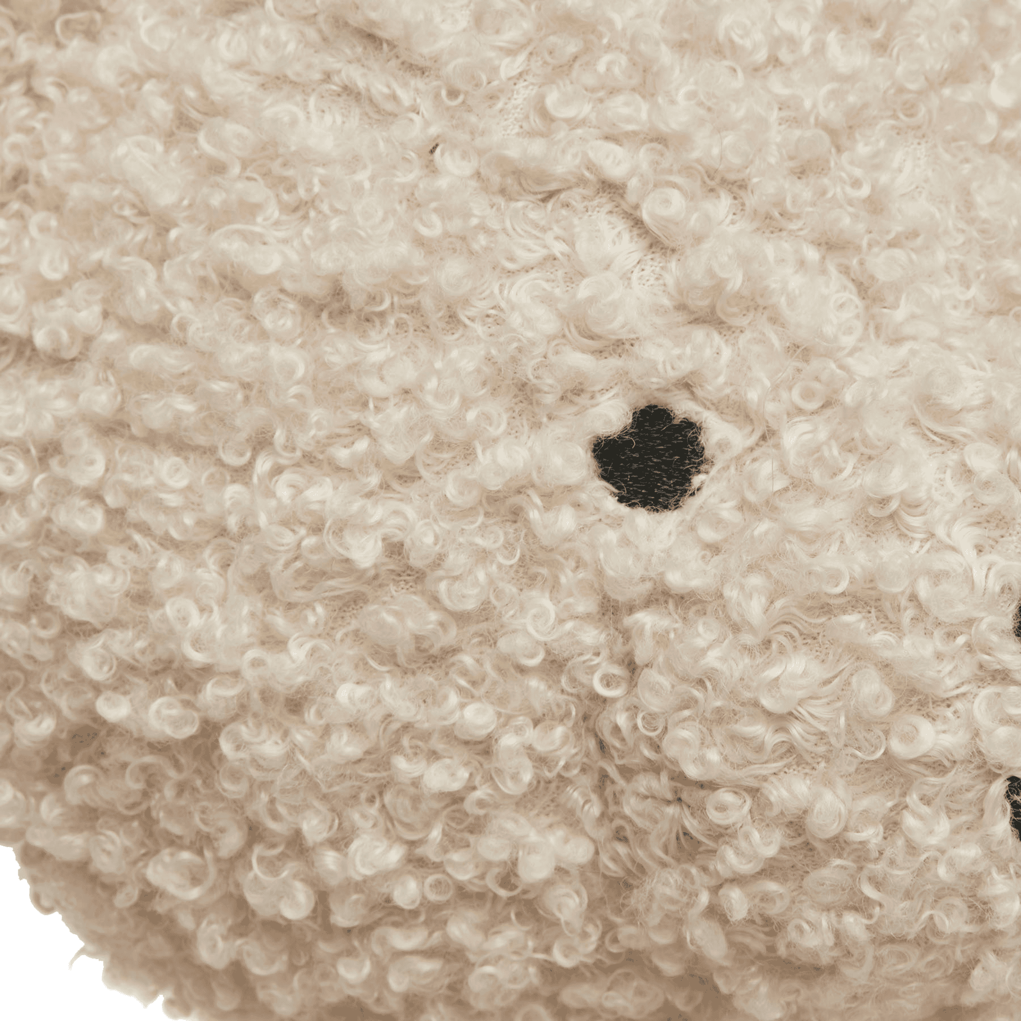 Kuscheltiere Bären, jollein, Beige – Produktansicht