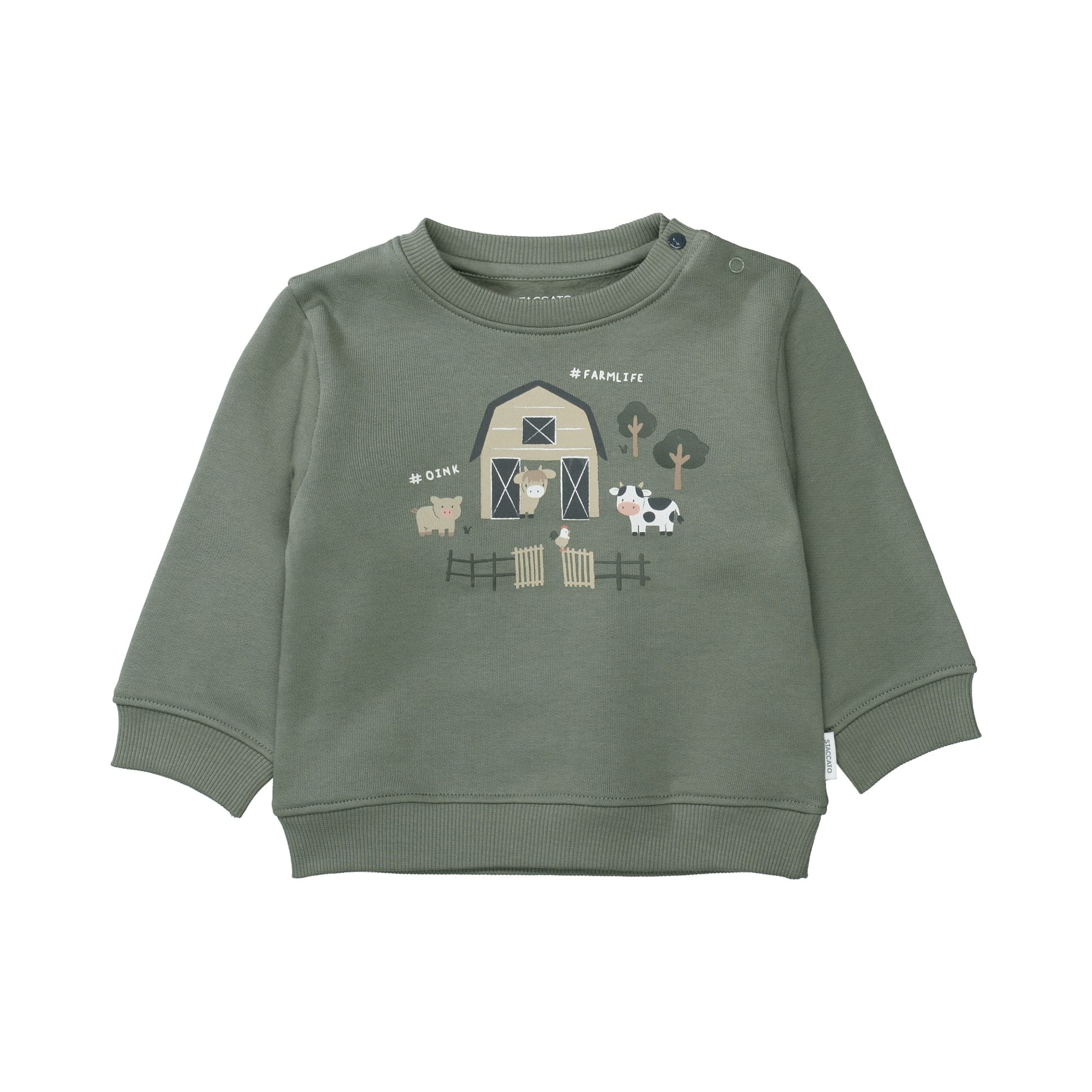 Pullover & Sweatshirts, STACCATO, Grün – Besonderheit: aus 100% Baumwolle