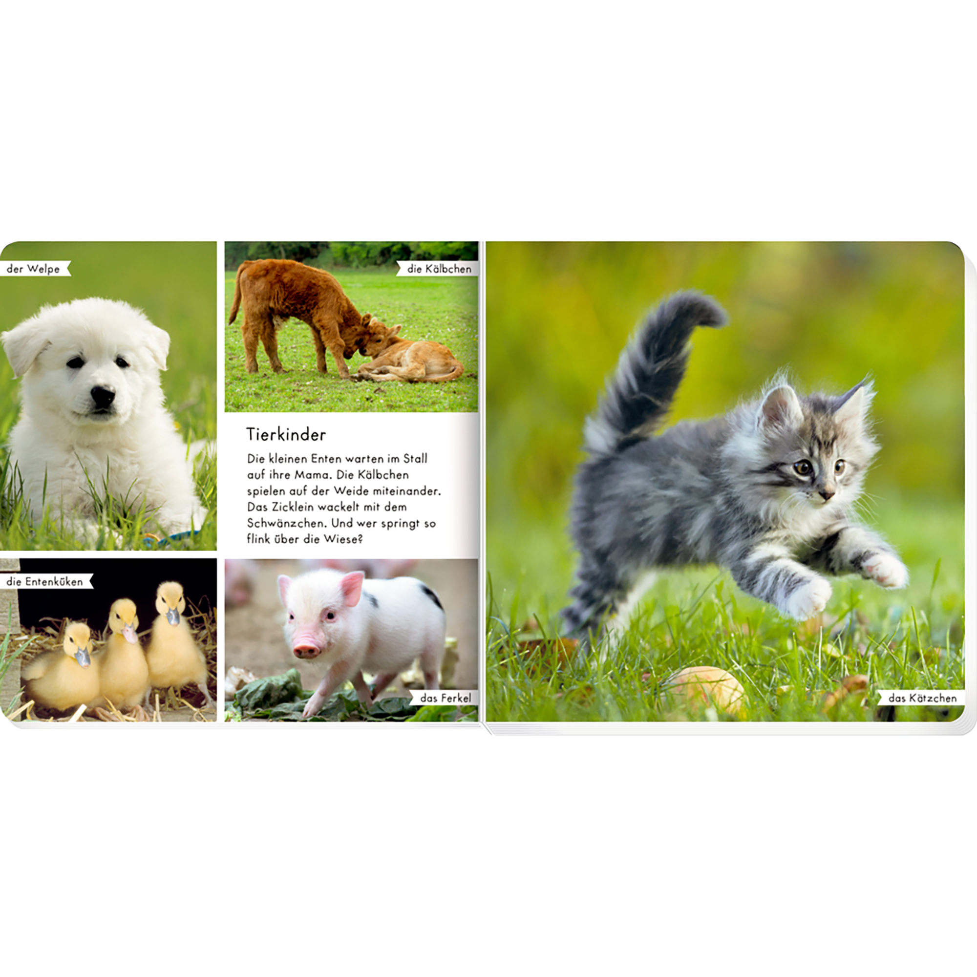 Bilderbücher, COPPENRATH, Braun – Produktansicht