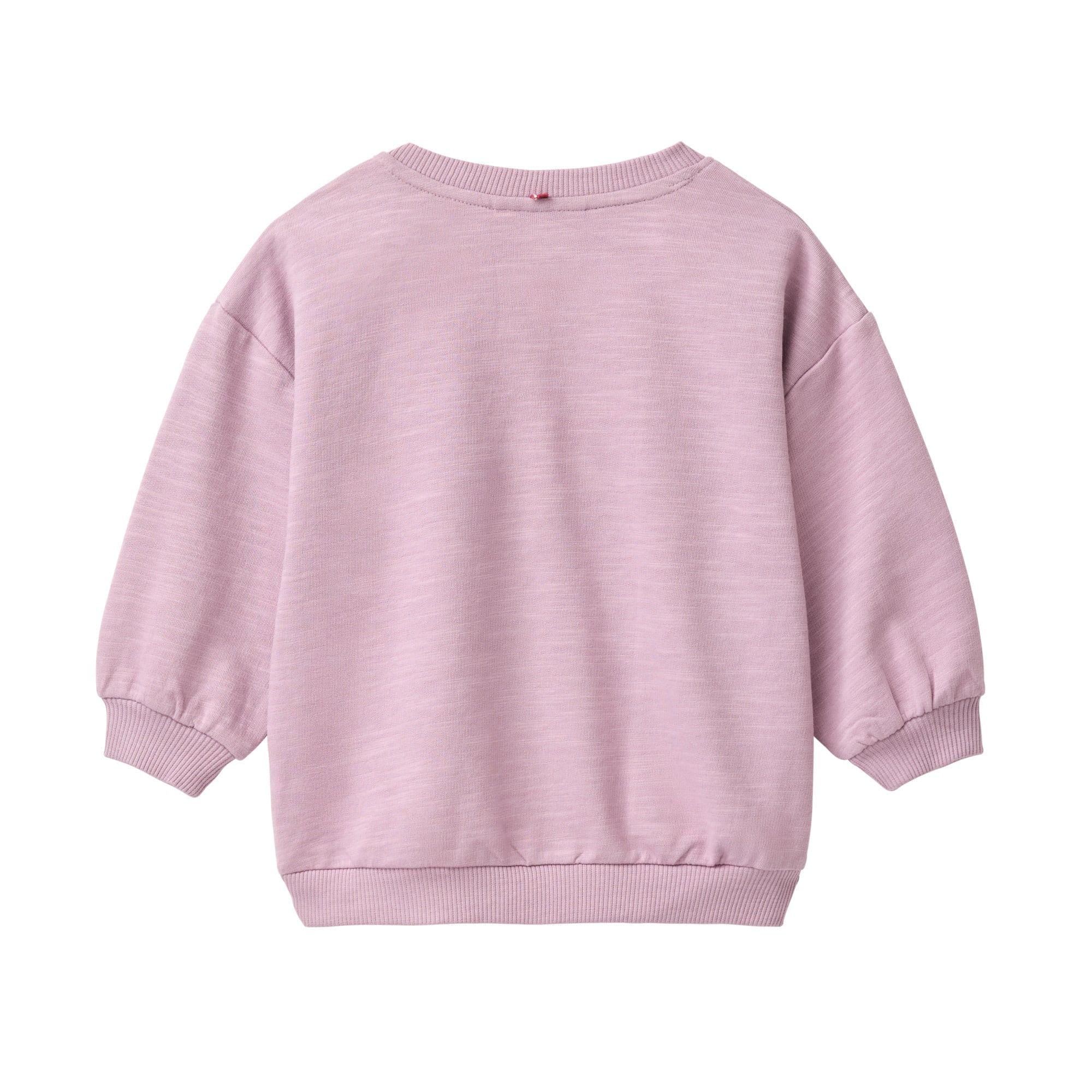 Pullover & Sweatshirts, People Wear Organic, Lila – Besonderheit: aus Bio-Baumwolle