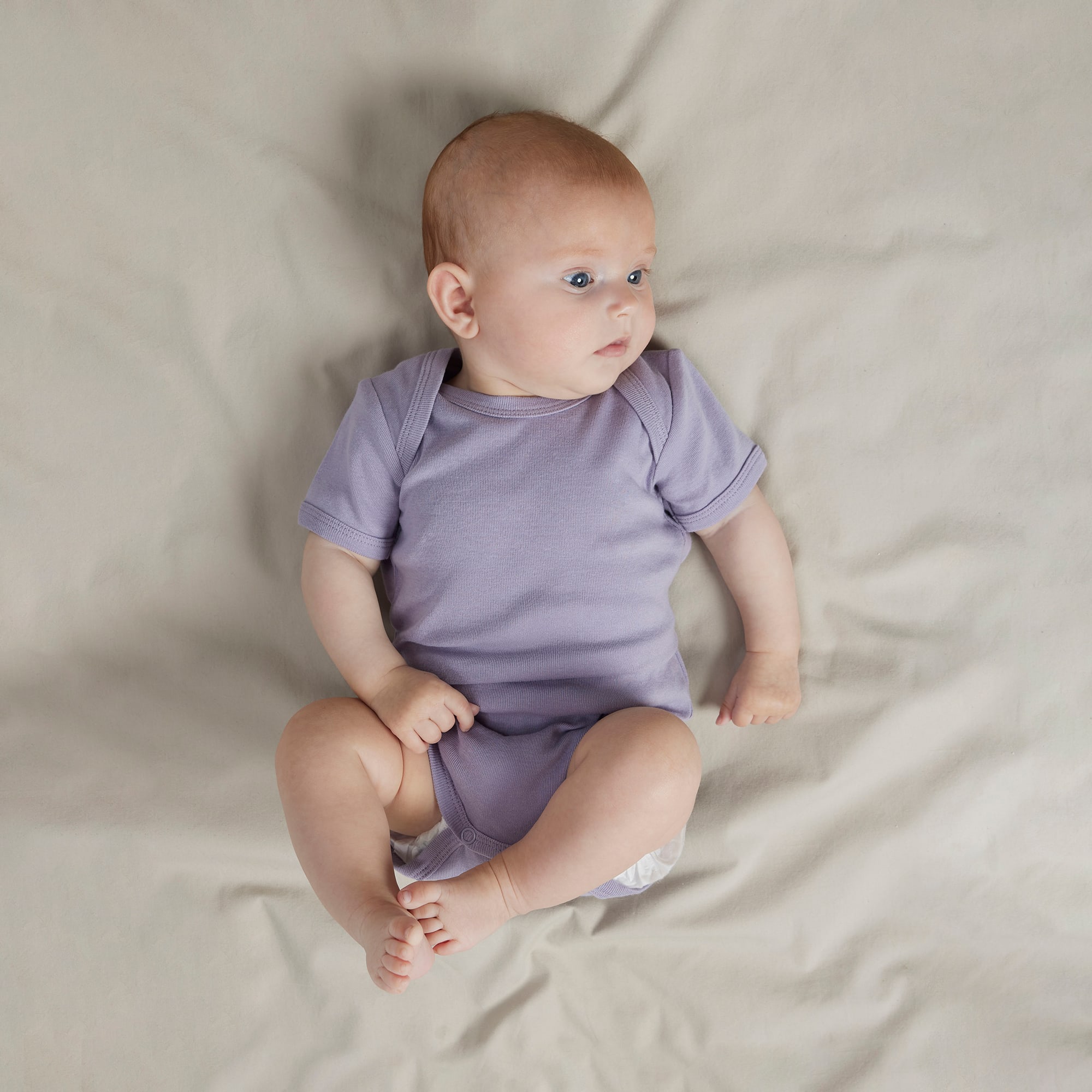 Kurzarmbodys, name it, Lila – Besonderheit: aus 100% Baumwolle