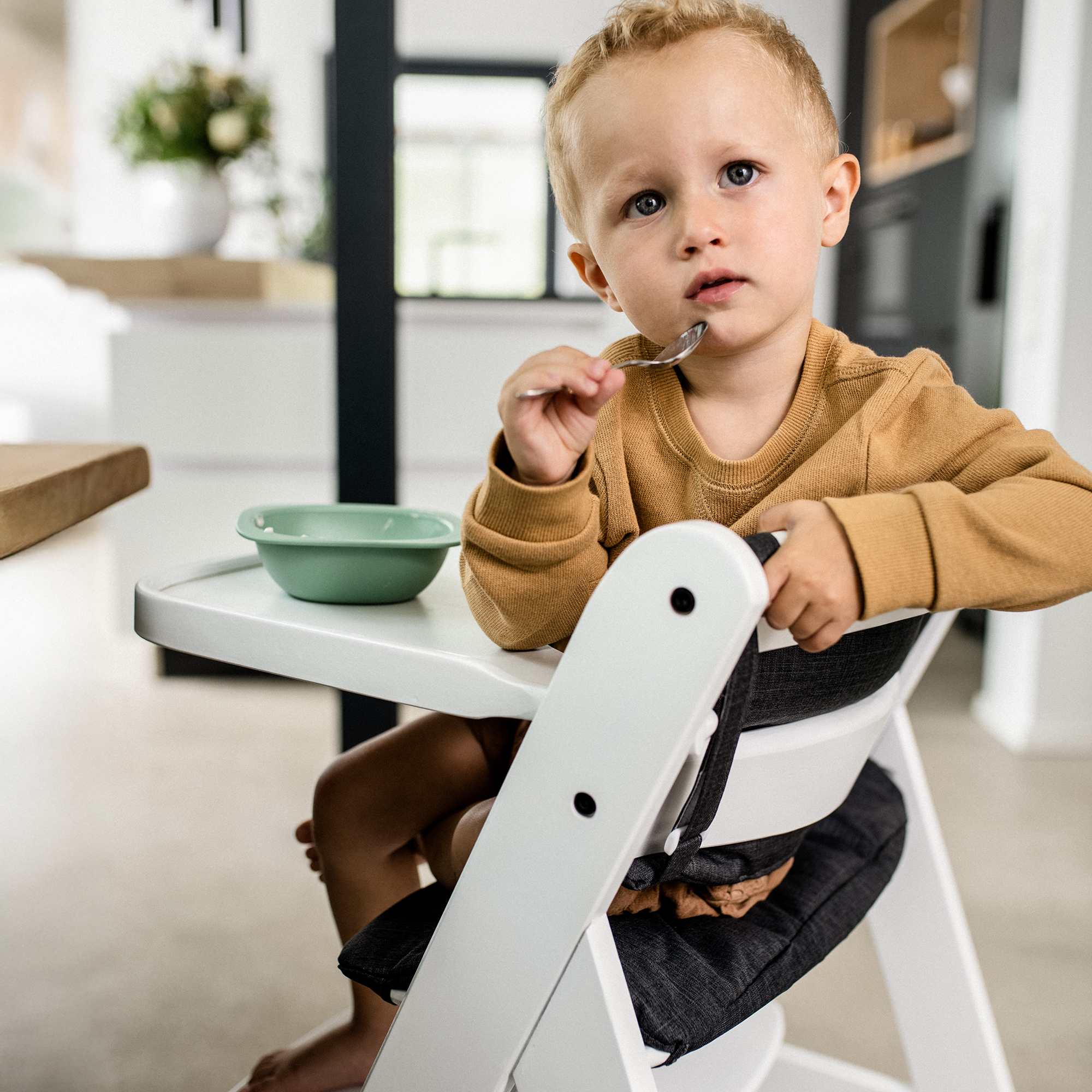 Treppenhochstühle, hauck, Weiß – Produktansicht