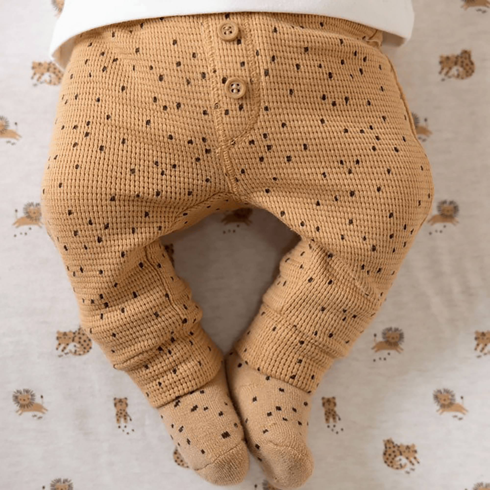 FEETJE Hose Tiny Roar Größe 62 | BabyOne