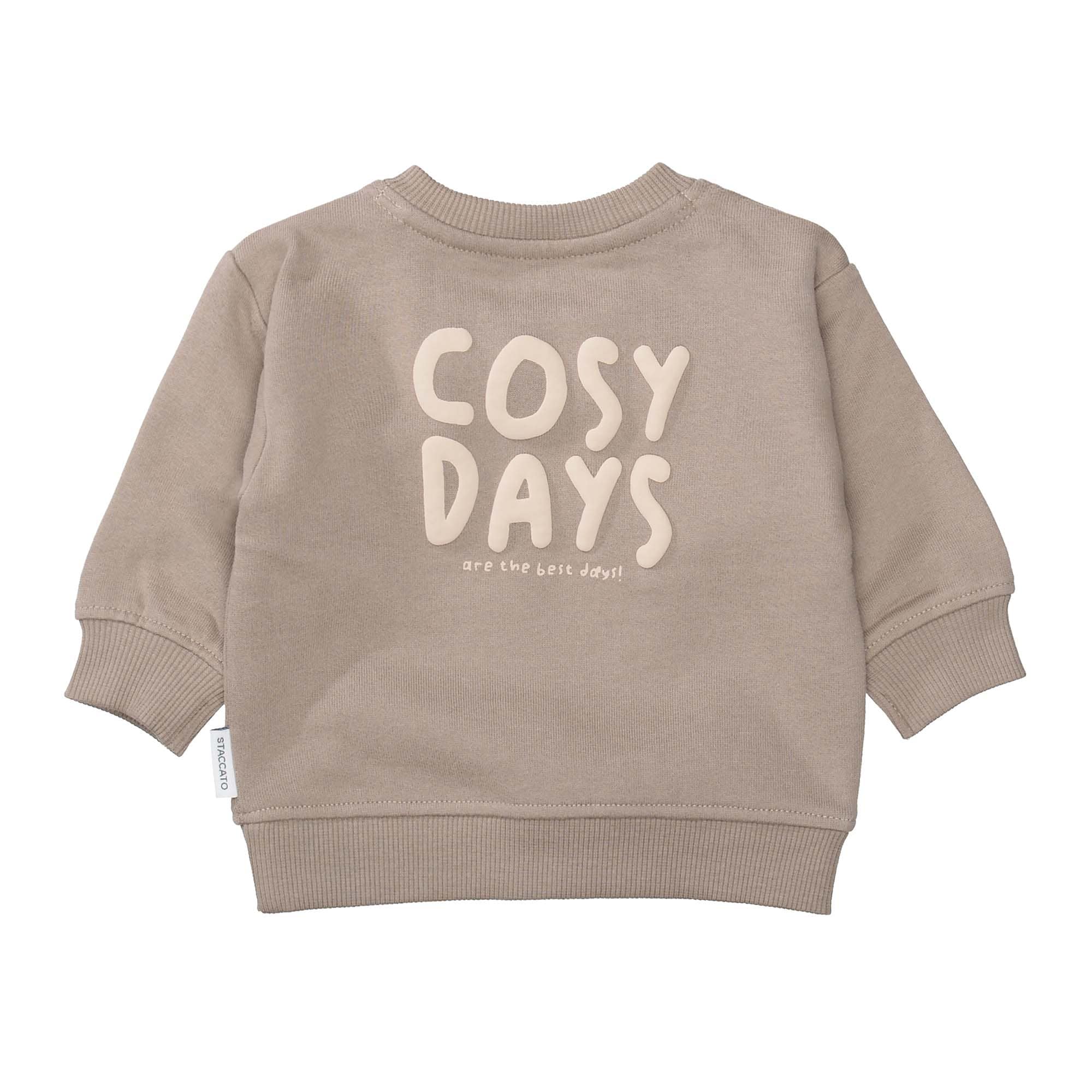 Pullover & Sweatshirts, STACCATO, Braun – Besonderheit: aus 100% Bio-Baumwolle