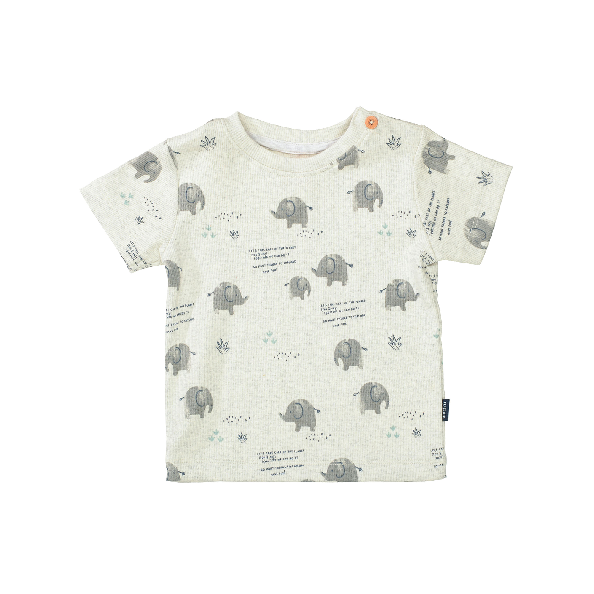 Kurzarmshirts, STACCATO – Produktansicht