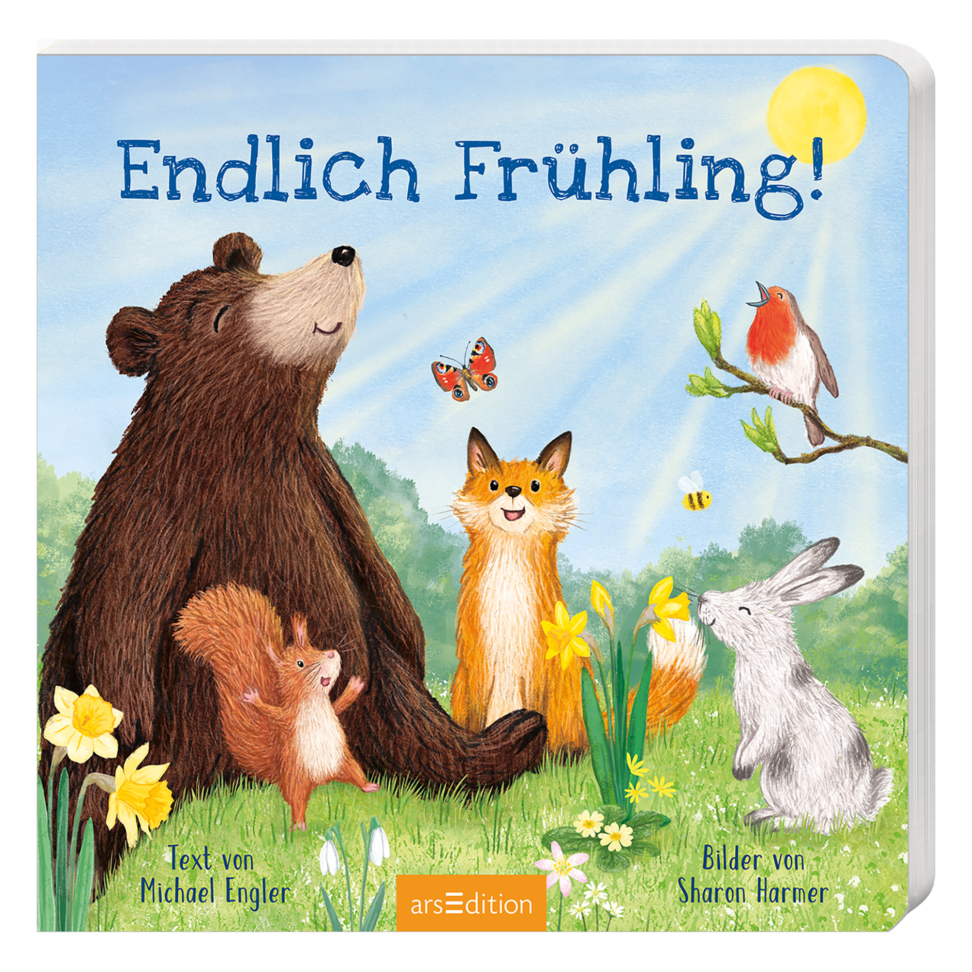 Kinderbücher, arsEdition, Mehrfarbig – Besonderheit: hübsche Illustrationen
