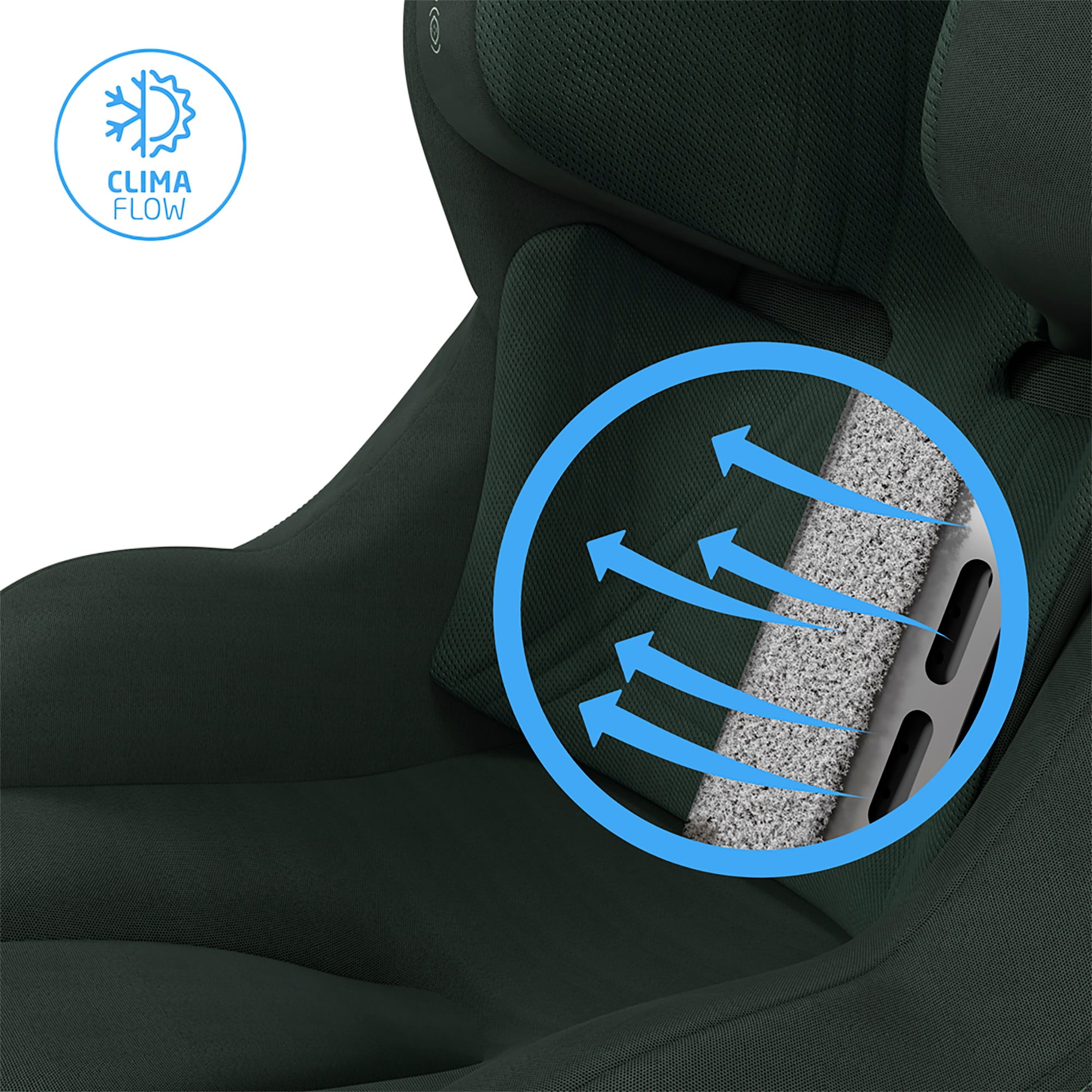 Reboarder 0-18 kg, Gruppe 0+/1, MAXI-COSI Premium, Grün – Produktansicht