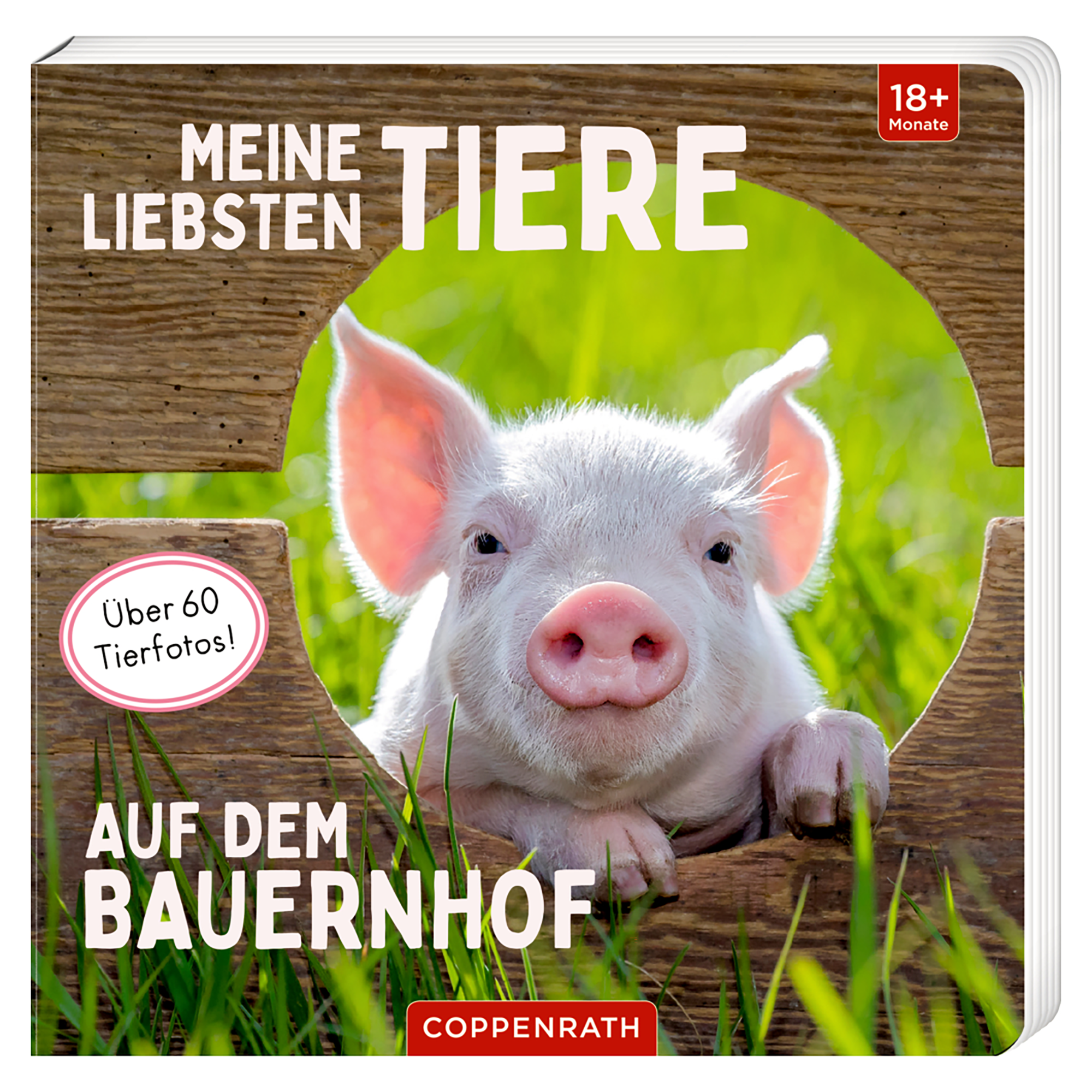 Bilderbücher, COPPENRATH, Braun – Produktansicht