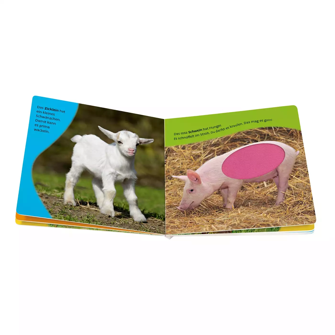 Kinderbücher, Ravensburger – Produktansicht