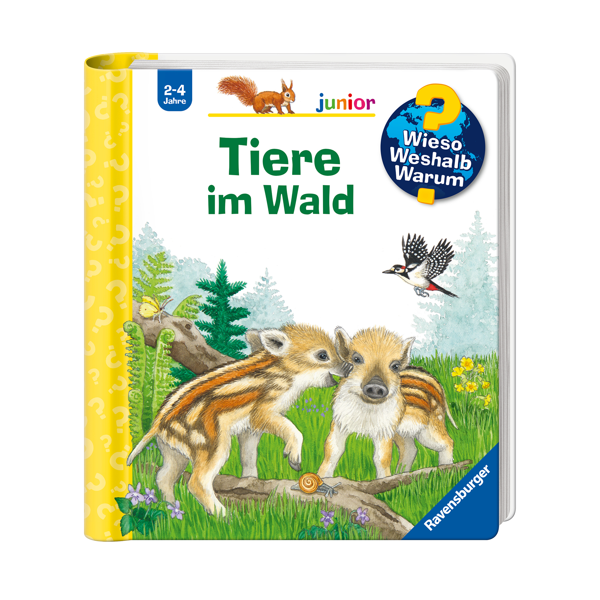 Kindersachbücher, Ravensburger, Mehrfarbig – Produktansicht