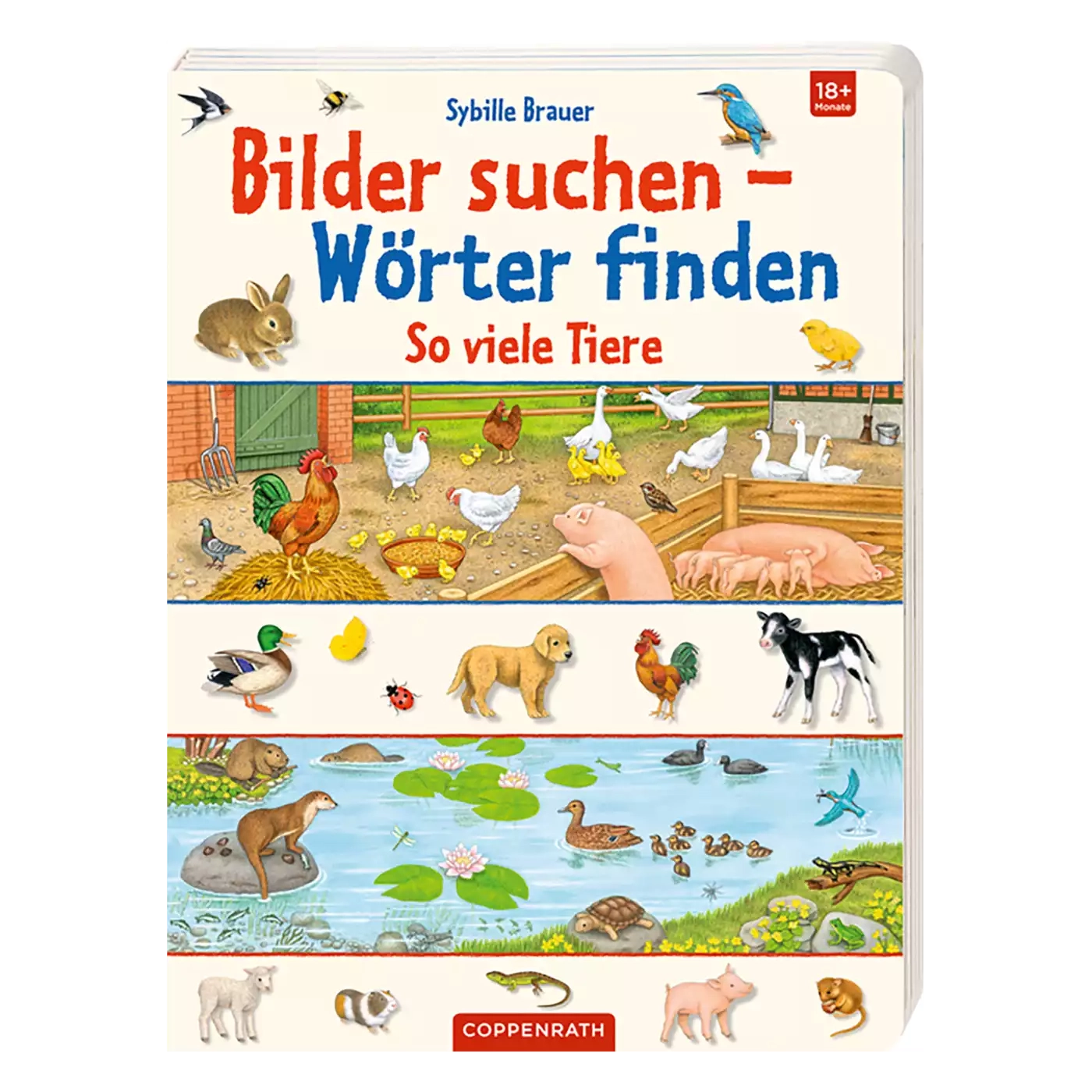 Kinderbücher, COPPENRATH – Produktansicht