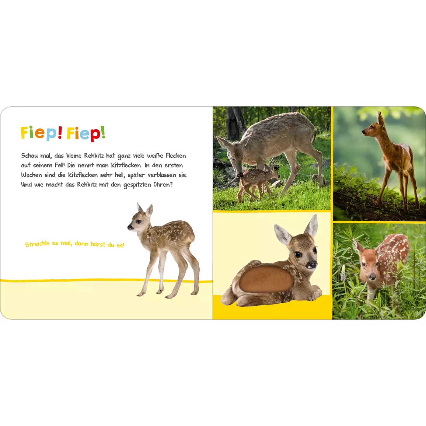 Kinderbücher, arsEdition, Mehrfarbig – Produktansicht