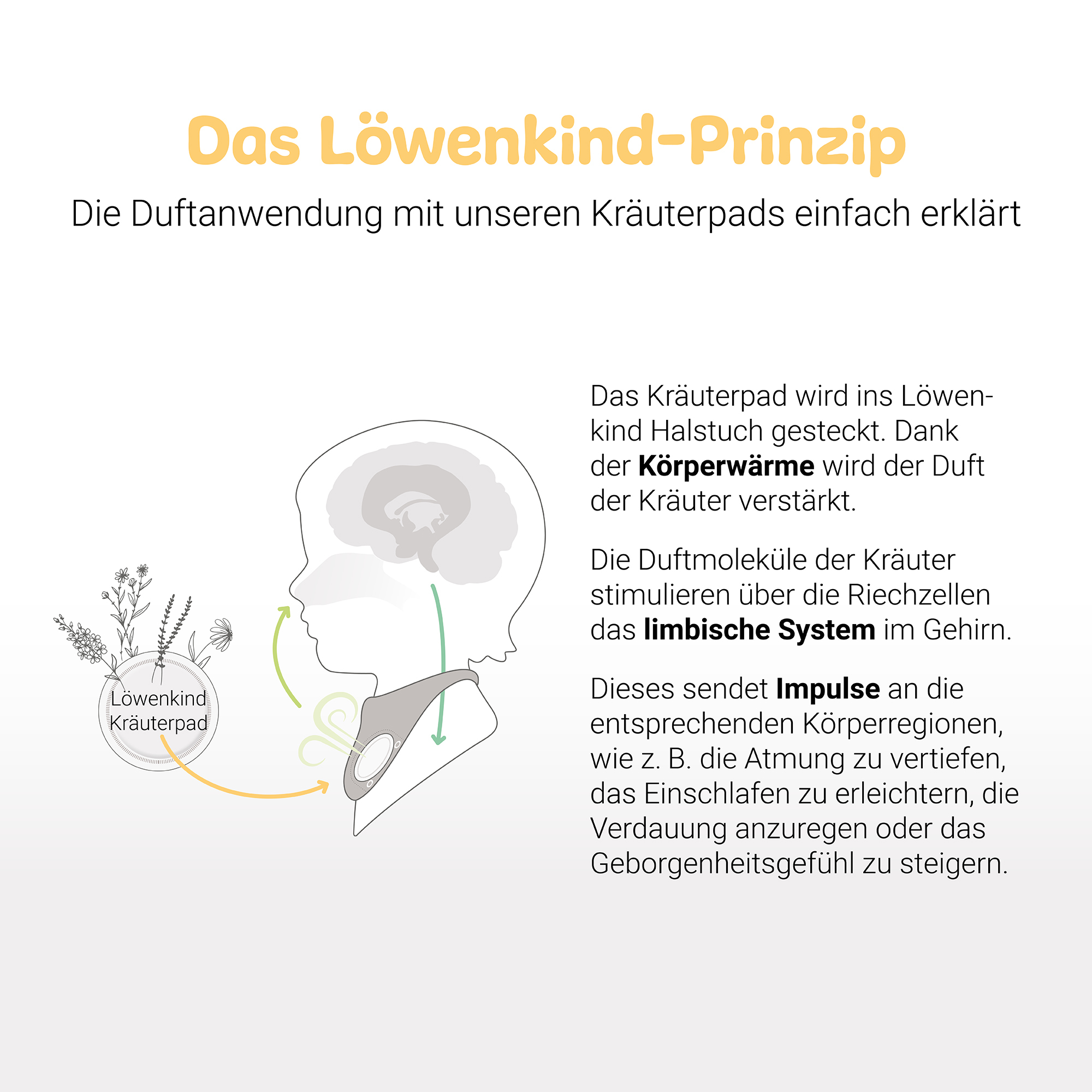 Hausapotheke, Löwenkind, Mehrfarbig – Produktansicht