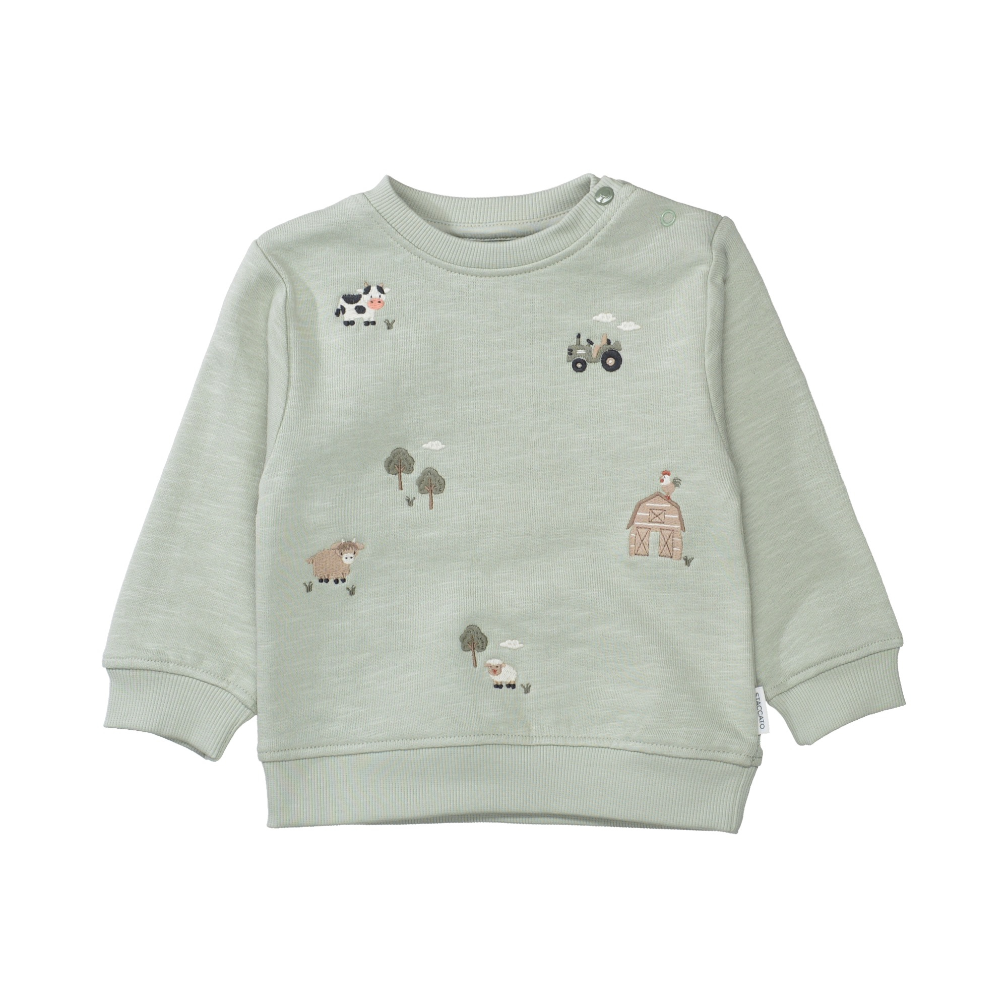 Pullover & Sweatshirts, STACCATO, Grün – Besonderheit: aus 100% Baumwolle
