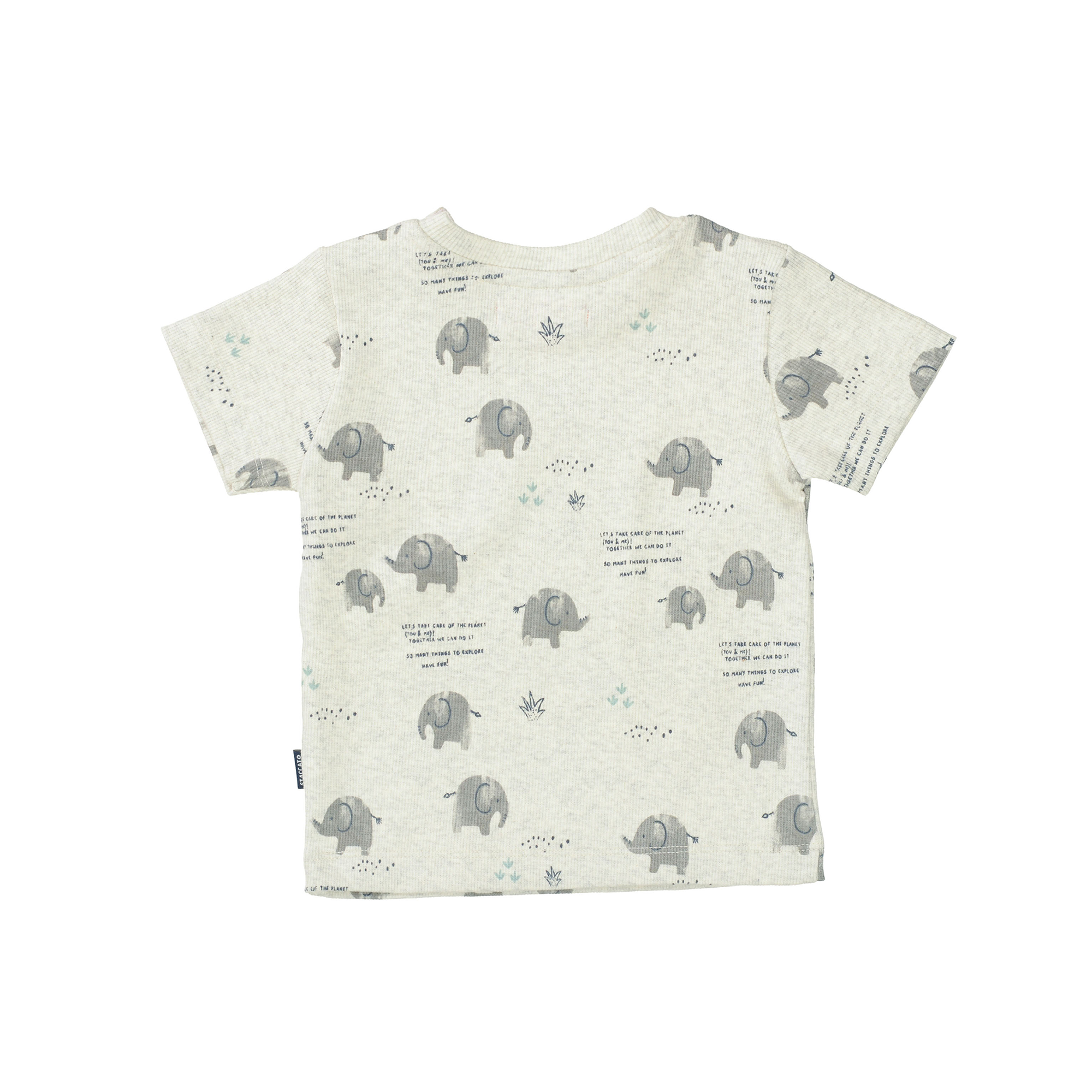 Kurzarmshirts, STACCATO – Produktansicht