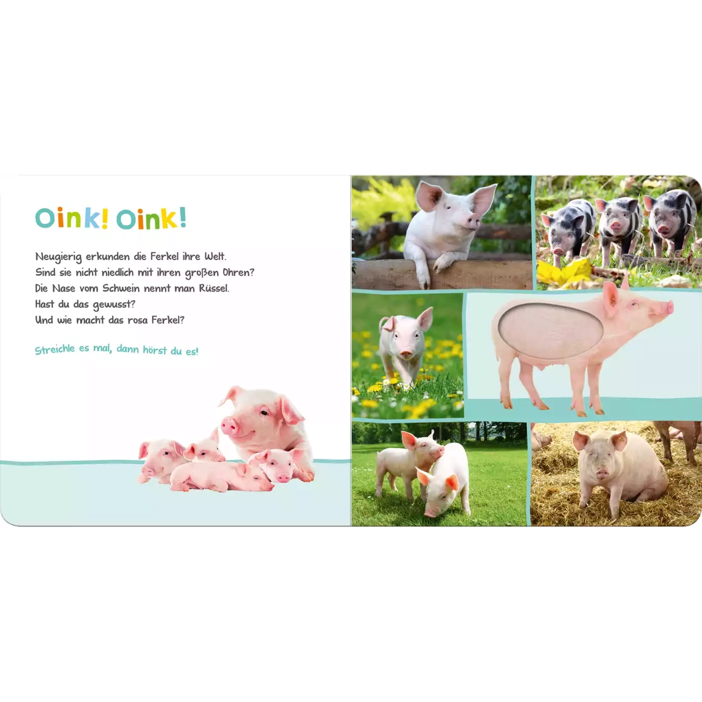 arsEdition, arsEdition, Weiß – Produktansicht