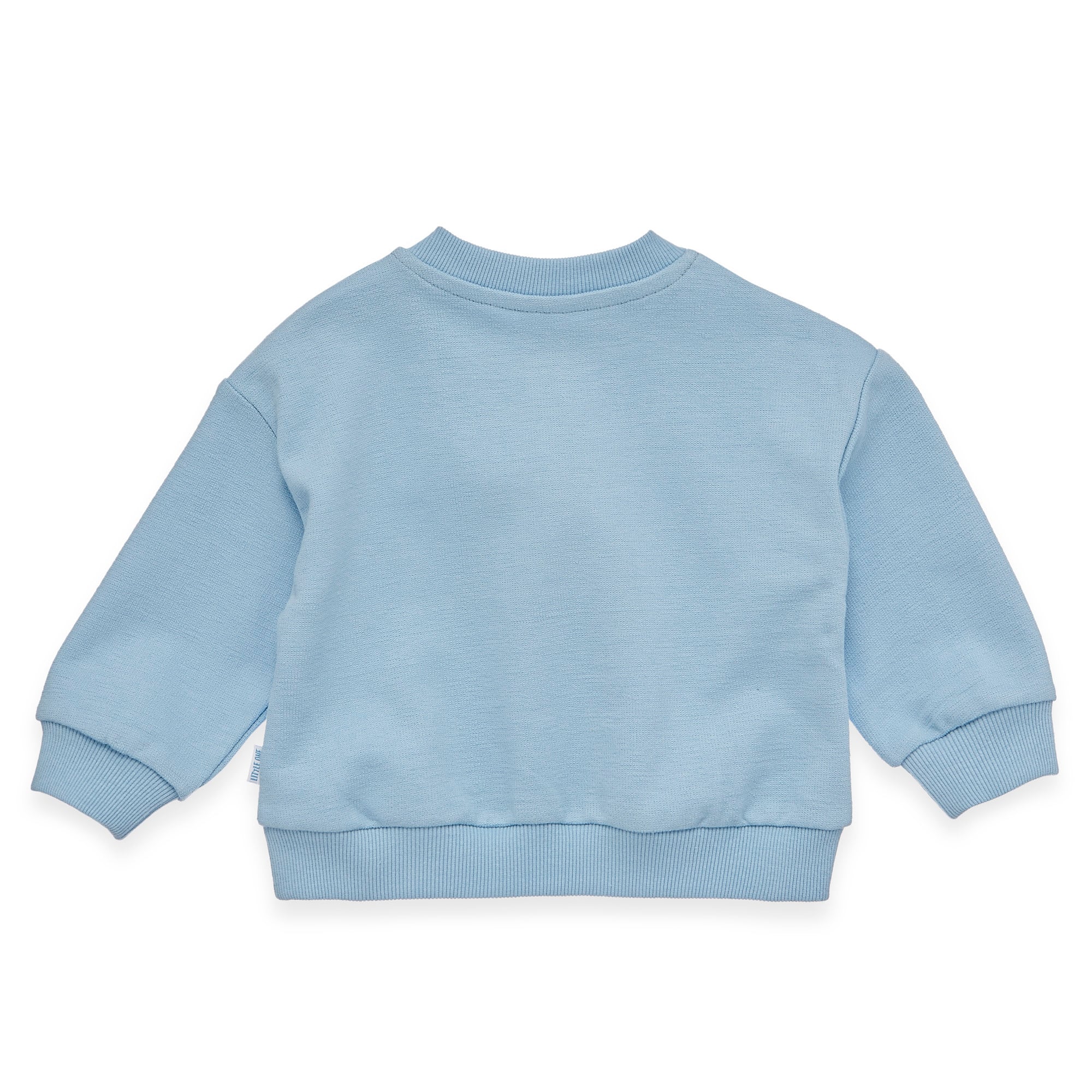 Pullover & Sweatshirts, LITTLE ONE, Blau – Besonderheit: aus 100% Baumwolle