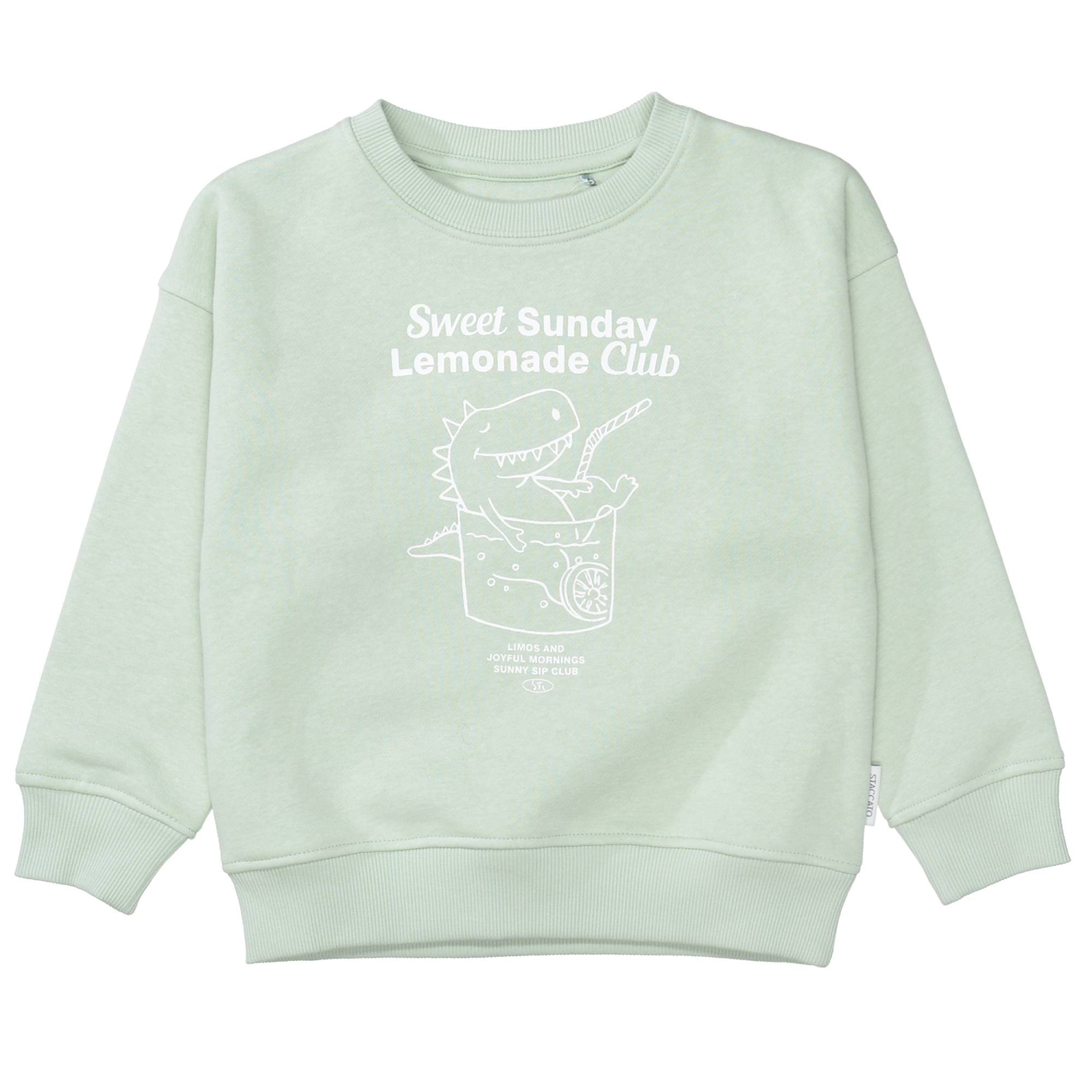 Pullover & Sweatshirts, STACCATO, Grün – Besonderheit: aus 80% Baumwolle