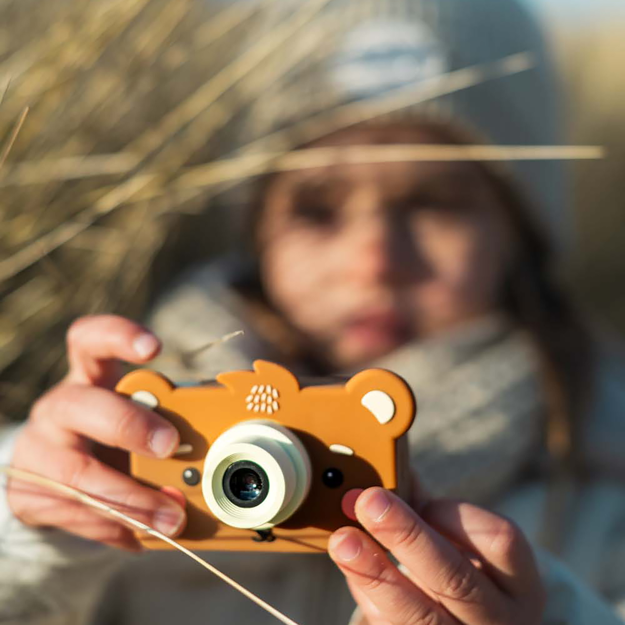 Elektronisches Spielzeug, ZOOFAMILY, Braun – Produktansicht